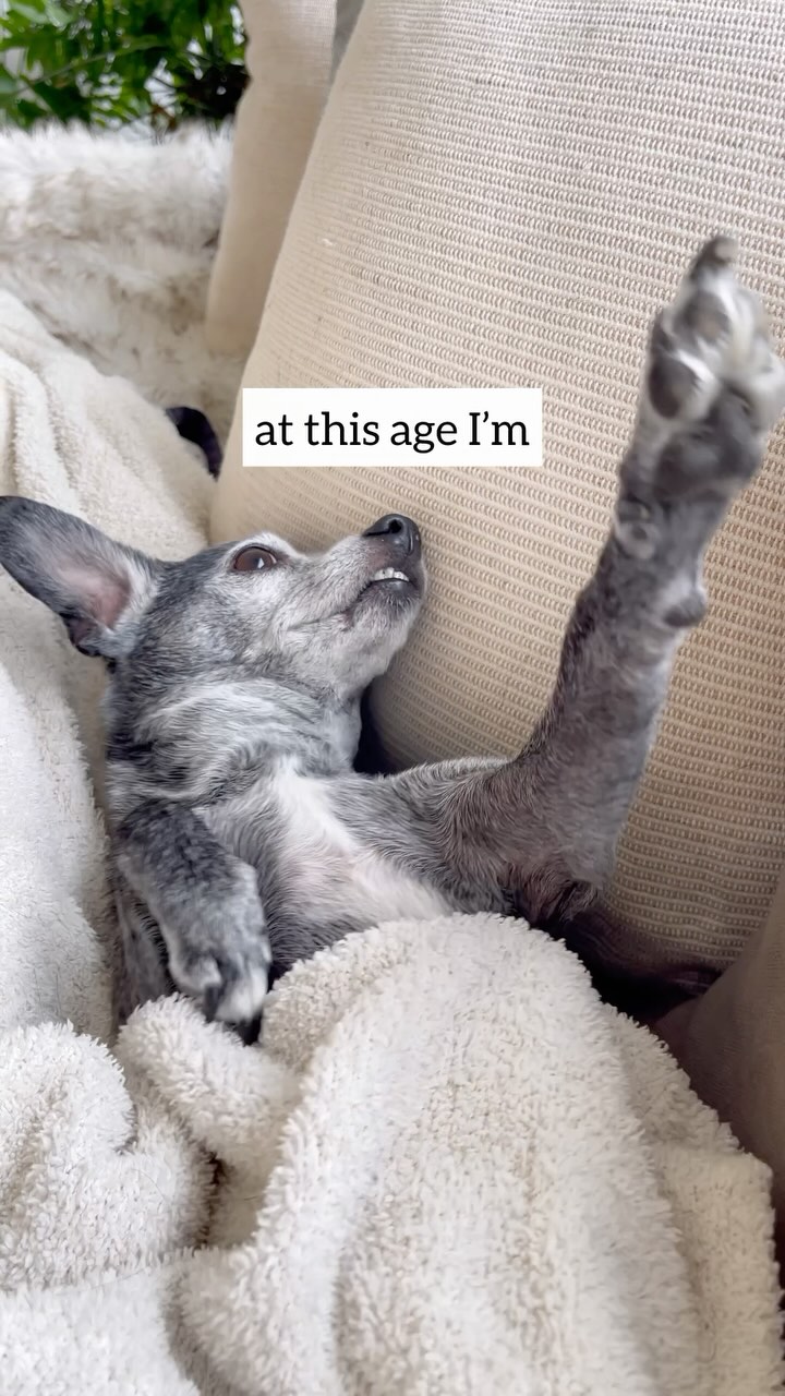 Same tbh #whitelotus #parkerposey #doglover