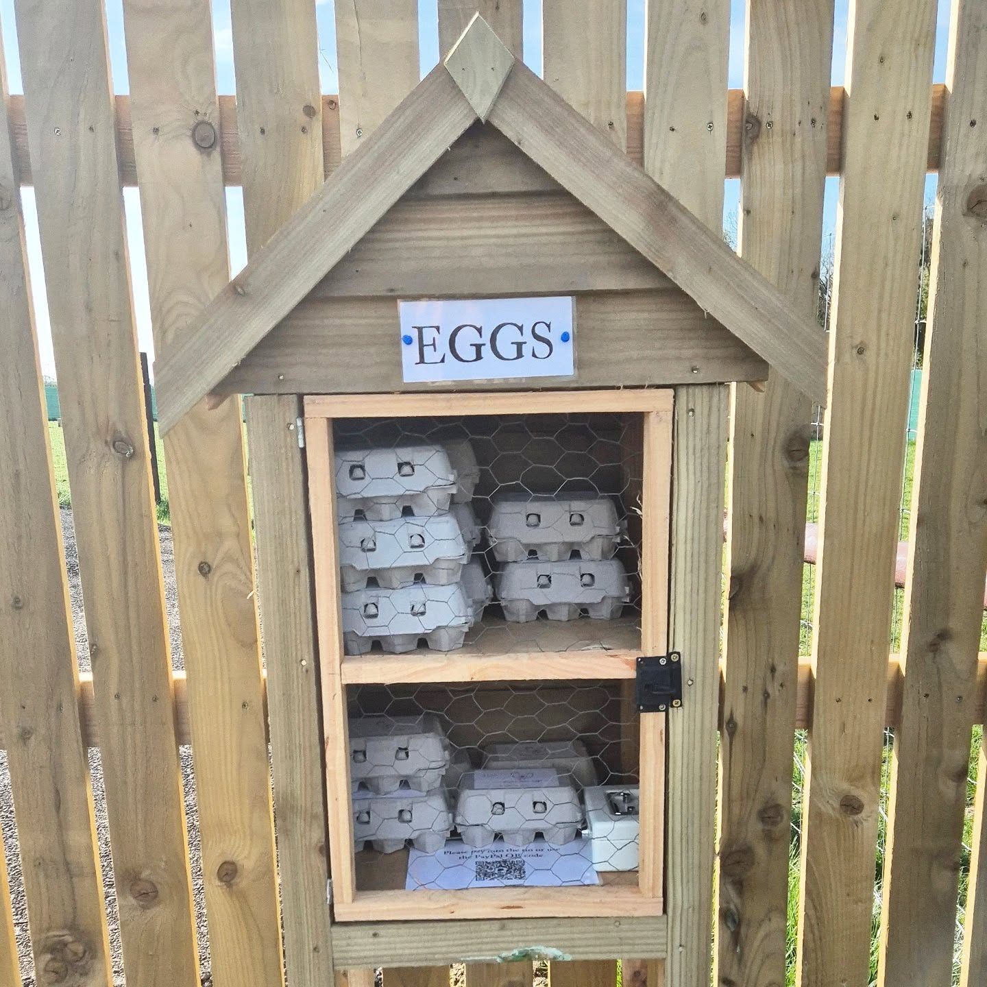 Fresh Eggs Now Available at the Field!
As well as loving dogs, I have a real soft spot for hens, and over time, my love (and flock!) has grown far bigger than my own need for eggs!
We have a mix of happy hens, including young hens who lay the cutest little blue eggs, a variety of traditional breeds that produce beautiful coloured shells, and our rescued commercial hens, who lay large brown eggs and are absolutely full of character.
You’ll find them in the little stand by the entrance. It runs on a simple honesty system, so please pop payment in the tin or use the QR code.
Thank you for supporting our hens and enjoy the eggs!
#dogfield #bestinfieldewen #eggsforsale