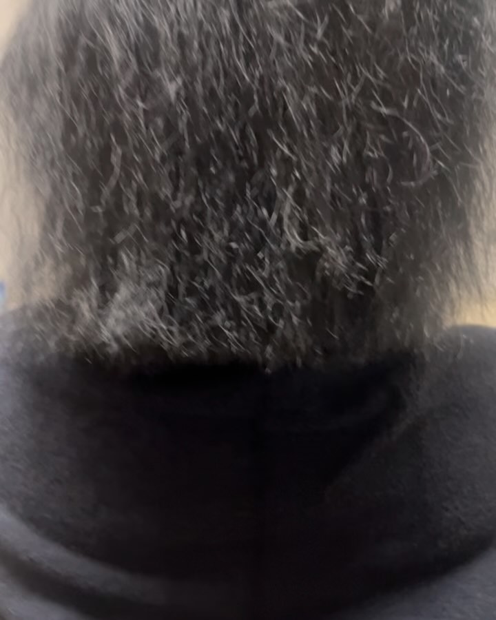 Tape in Extensions Install 💕