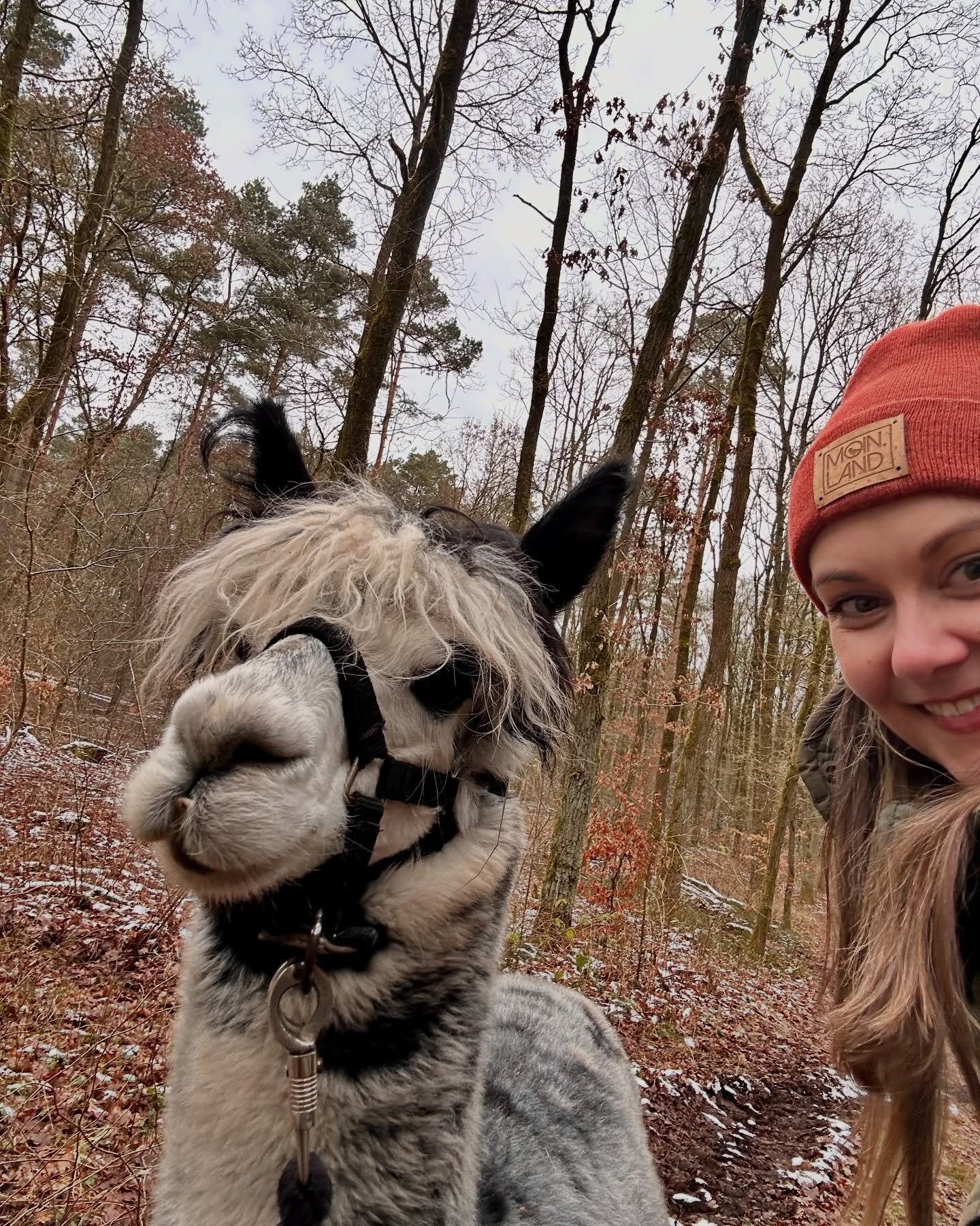 Das 1. Quartal des Jahres war aufregend. Transformation is coming. 🦋✨🔋
1. Pebbles 🦙 @lorenzosalpakas
2. ungeplanter Jahreswechsel auf Usedom
3. die ersten Sound Baths auf der Fastenreise 🫧
4. die erste Retreat-Gruppe 2025 🤍
5. feeling blessed 🥰
6. Mehr Zeit für Kreativität: Linoldruck-Workshop @linol.und.so 🌿
7. ❤️❤️❤️
8. „Zeit für Dich“ Retreat @okelmanns
9. Alpakawanderung fährt mein Tempo so runter
10. Ganz große Liebe für freies Bewegen und Tanzen
11. Matcha Latte statt Coffee-Mood
12. 1:1 Yogatheapie Sessions 🫶🏻
13.+14. Pottery-Date mit @tuberositas
15. Auf der Unternehmerinnen-Messe
16. Lagerfeuer-Romantik
17. 🌸🌼🌸
18. Die Zwei 🥰
19. Frühling!
20. Ein großer Meilenstein ist abgeschlossen
#yogaimnorden #yogatherapie #throwback #embodimentpractice #yogainbremen #transformationiscoming