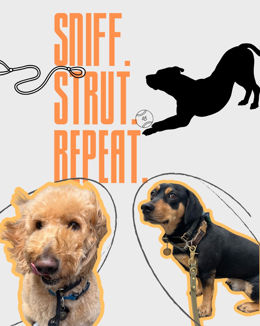 the Dogman Sachs dogs do it best 🏵