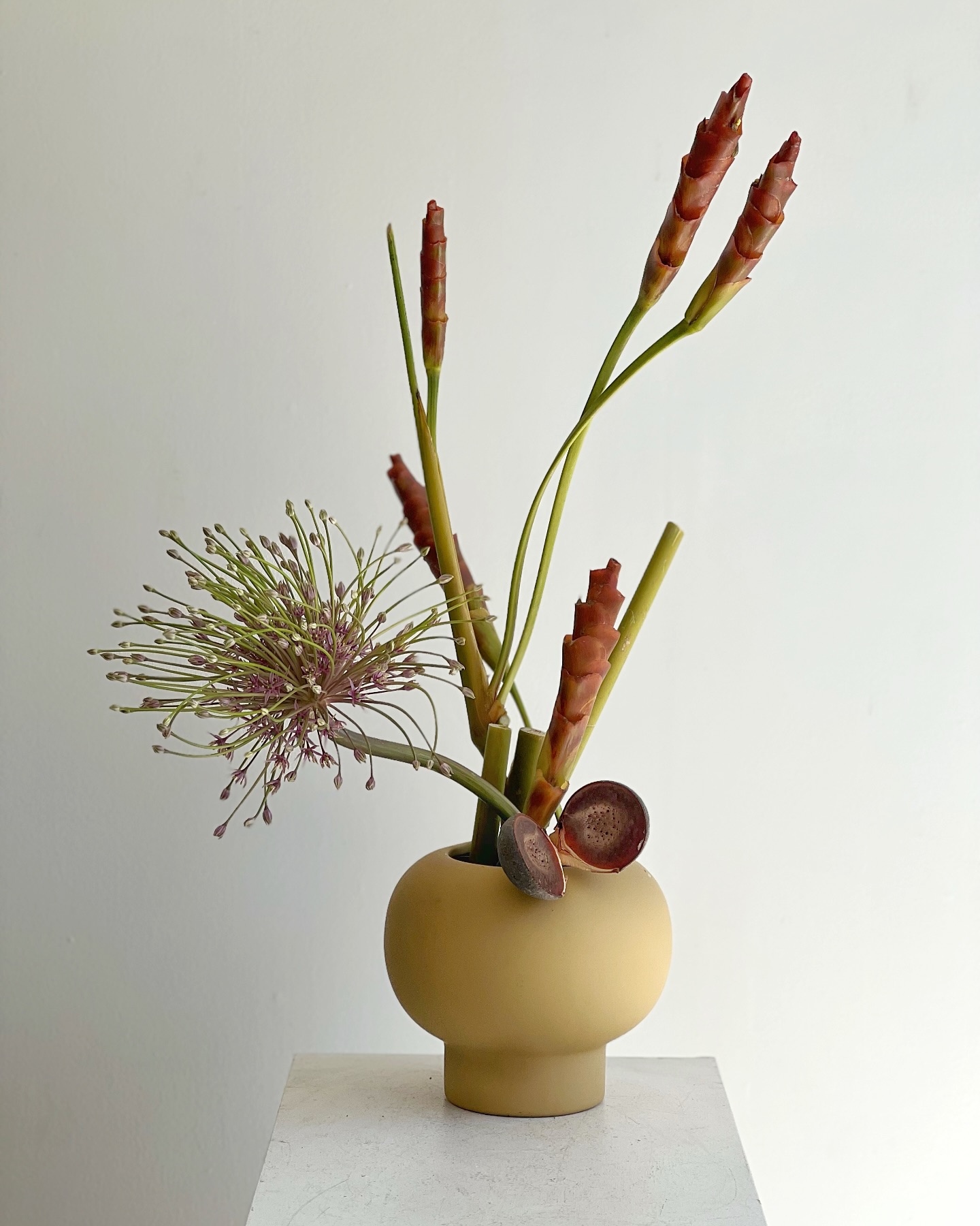 A playful harmony of plant shapes—arranged like a puzzle, drawn like a painting.
#ikebanamelbourne #ikebana #oddshape #assemble