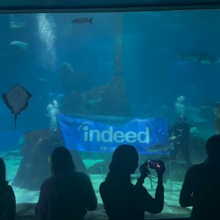 Where the future of work meets the wonders of the deep 🌊
We wrapped up Day 1 of #HRcoreLAB with an unforgettable cocktail evening at the @aquariumbarcelona — meaningful conversations, fresh ideas, and an incredible HR community.
Big thanks to @indeedworks for making it possible. . #HRcoreLAB #BarcelonaEvents #HRNetworking #CocktailNight #BarcelonaAquarium #HRCommunity #HRLeaders