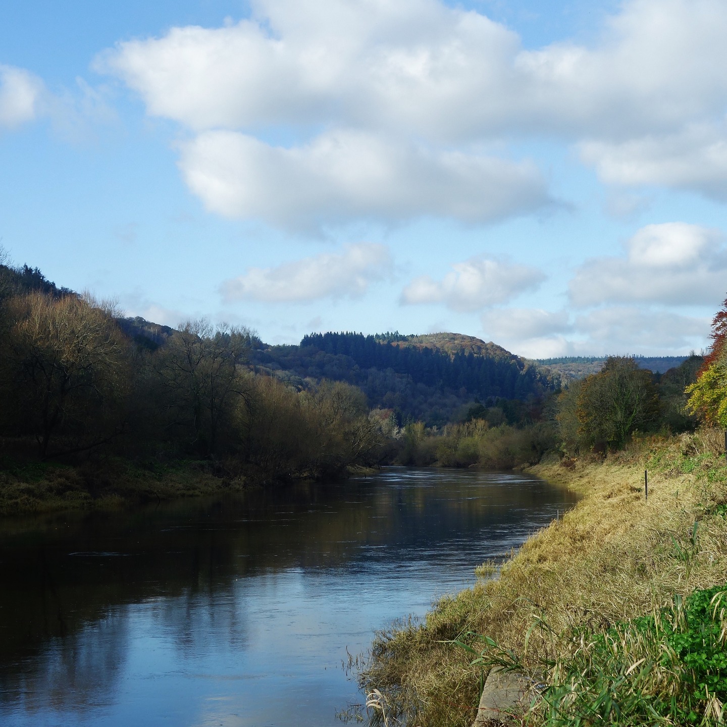 It’s 50 years since the Wye Valley Walk was created. To celebrate the @wyevalleynationallandscape are staging numerous walks throughout April to October – they span sections from the Upper to the Lower Wye. If you’re interested go on over to their Instagram or website at www.wyevalleywalk.org/celebrating-50-years-of-the-wye-valley-walk. It’s been a cracking start to the month and I think it may continue for the best part of this year. There are some great guides and it should be fun. #wyevalleynationallandscape #wyevalley #wyevalleywalk #wyevalleywalks #wye