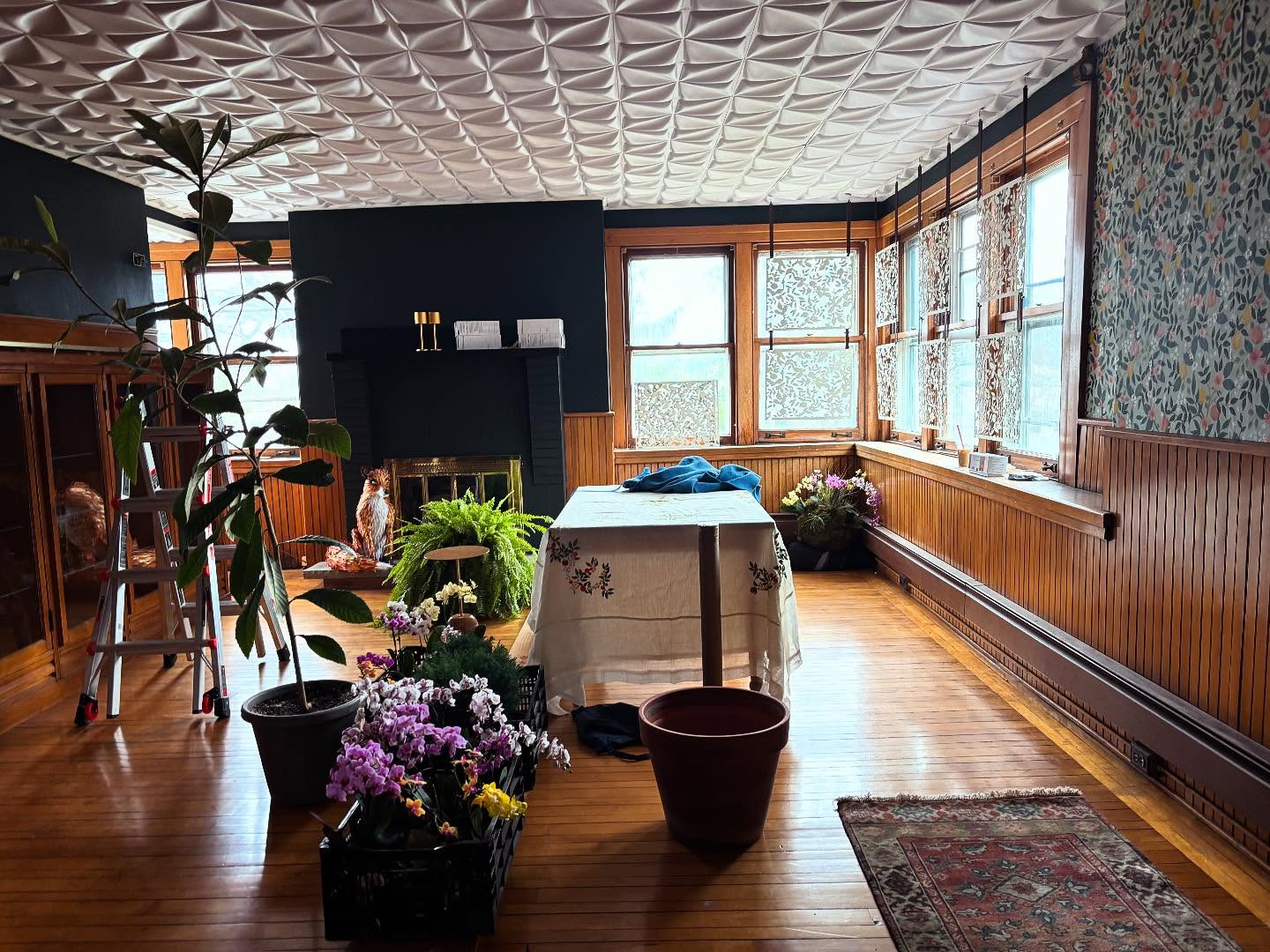 I live for installation days!
#juniorleague #showhouse #botanicalgardens #buffalo #light #mrfox #green #orchids
@buffalobotanicalgardens
@juniorleaguebuffalo