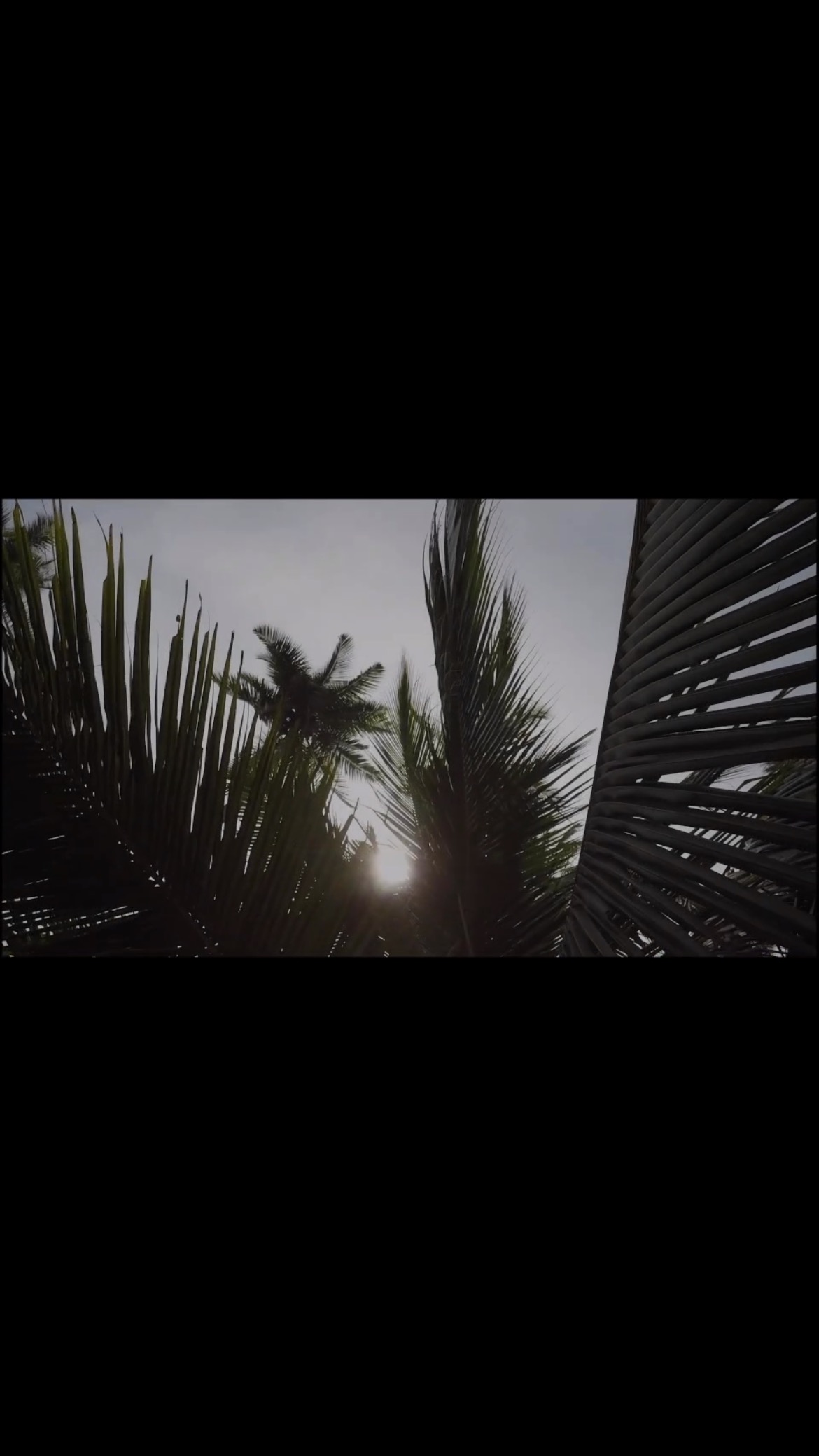 Where the sky kisses the ocean and the earth feels like a dream 🐠🌊🌴🍍🐒🌺 #srilankatravels #wanderlust #boutiquehotels #peaceful #nature #indianocean #holiday #droneview #travel