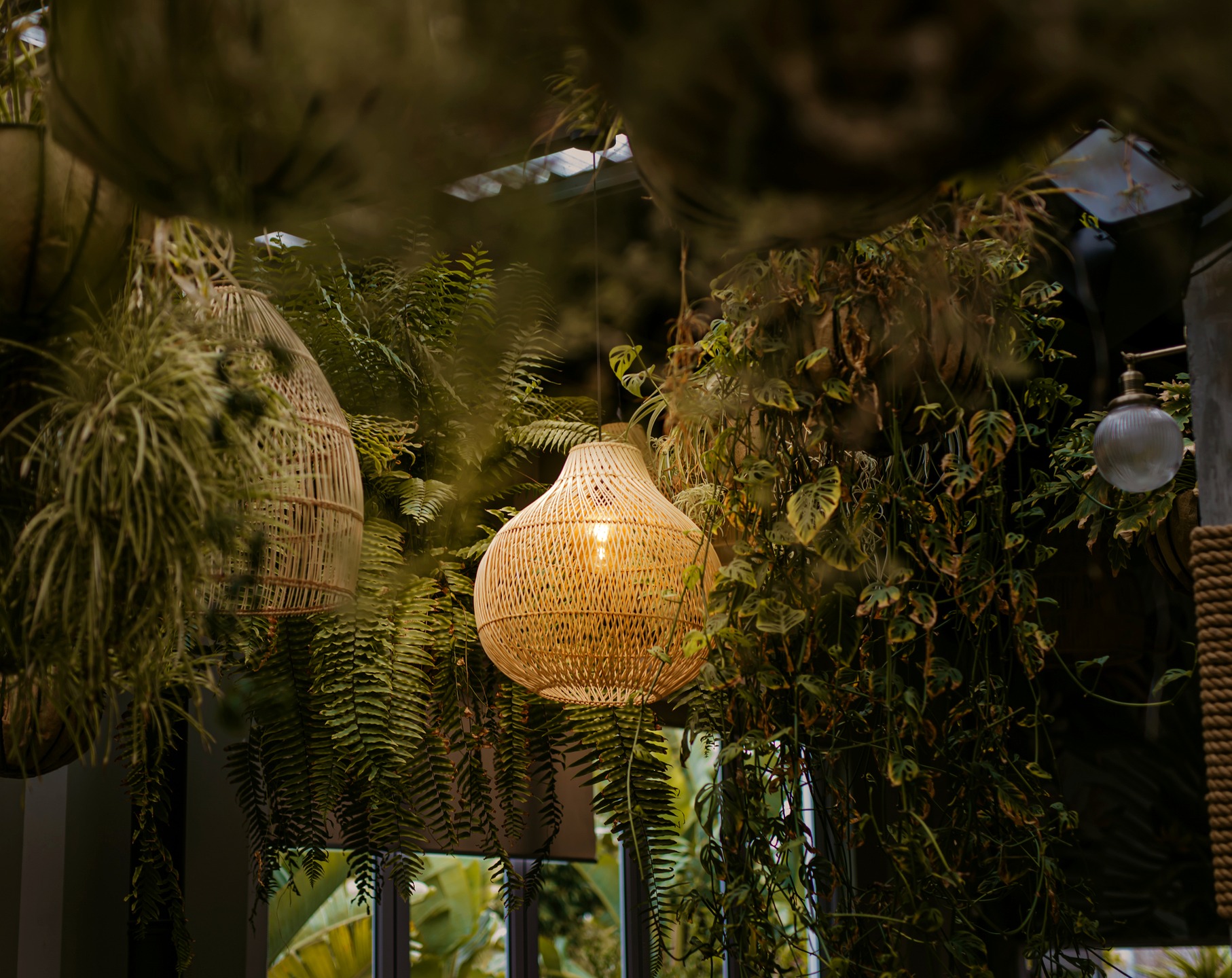 Where wild greenery meets warm, natural textures 🌿
At Greenhaus, every corner is a celebration of nature’s beauty—lush, alive, and effortlessly elegant.
#greenhauscpt #naturalstyle #botanicalbliss #naturalinteriors
