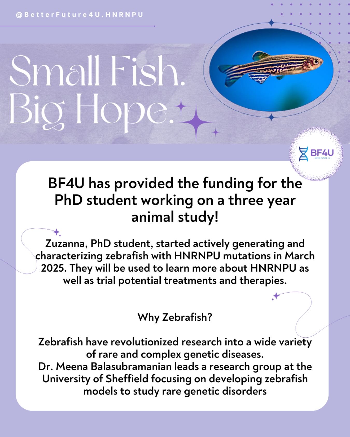 🐟 Small Fish. Big Hope.
Because of you, we’re building a better future for HNRNPU. 💜
Thanks to the generosity of our donors, BF4U is proud to fund a 3-year zebrafish study led by PhD student Zuzanna. This powerful research will help us better understand HNRNPU and move us closer to potential treatments.
Your support is turning hope into action — one tiny fish at a time. Thank you. 💫
.
.
.
#BF4U #HNRNPU #BetterFutureForHNRNPU #BetterFuture4U #RareDiseaseResearch #ZebrafishScience #Rare #HopeInAction #RareButMighty #ThankYouDonors