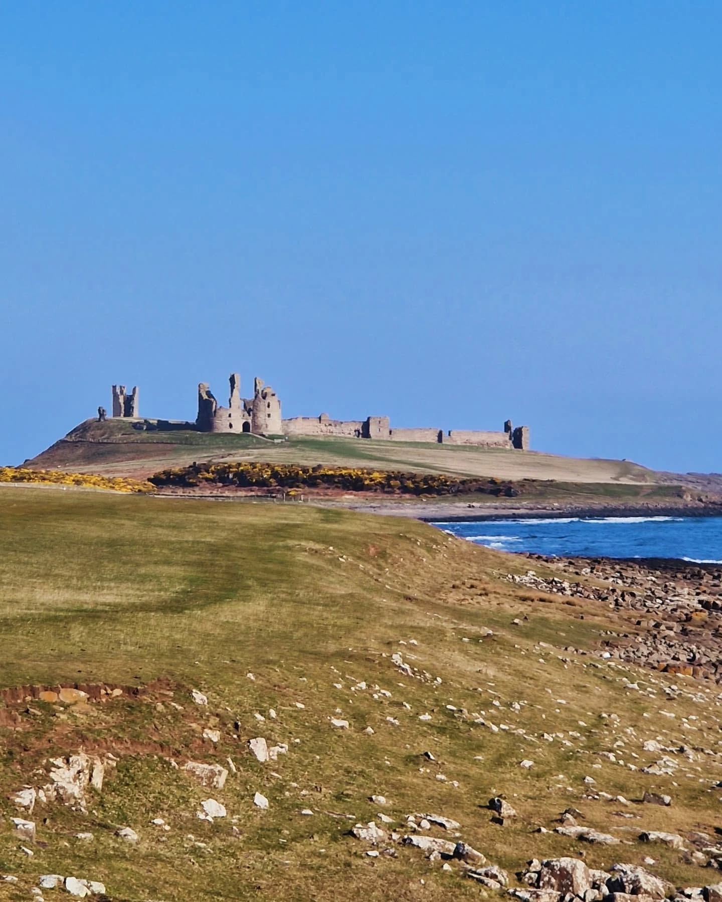 I thought I'd be put off by the flat terrain - I do love a lung-burning coastal path - but the geology is fascinating. Did you know the Whin Sill (the rock formation on which Hadrian's Wall was constructed) reaches from Lunedale in County Durham all the way to Lindisfarne Holy Island, and even further east into the North Sea. Even the Farne Islands are a part of this complex sill.
The Whin Sill also forms the outcrops upon which Bamburgh and Dunstanburgh sit on. The distinctive black rock is a constant reminder of the incredible volcanic magma welled up in cracks in the Earth's crust due to tectonic plate movements.
Mind blown.
#nerd