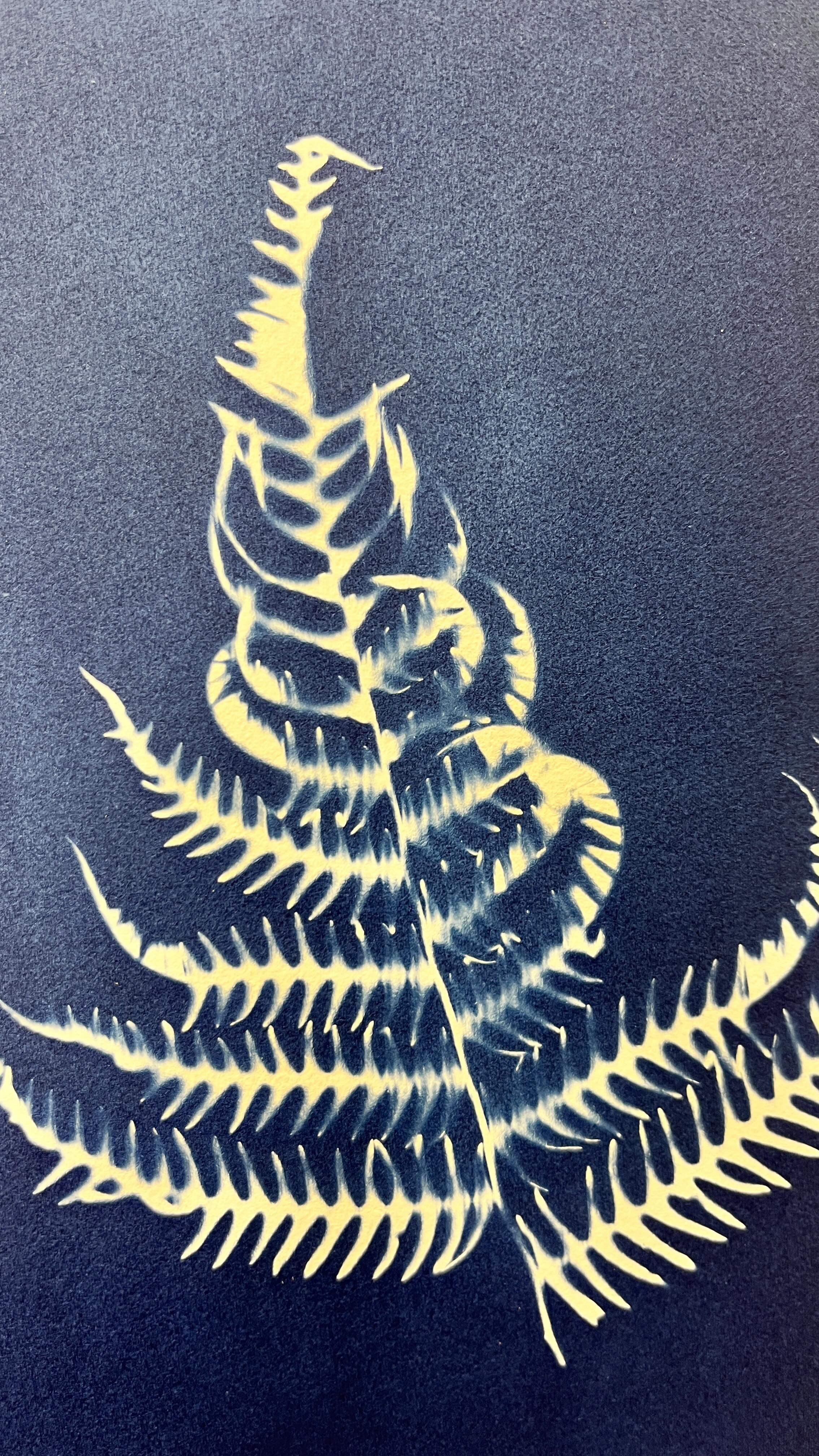 🌿 Exciting News! Our cyanotype paper kits are coming back in stock soon! 🌞
Cyanotype is a unique photographic printing process that produces stunning blueprints. With our kits, you can create beautiful images using sunlight, making it a fun and educational experience for all ages! 📸✨
Each kit includes:
- 10 sheets of A5 cyanotype paper
- Step by Step instructions illustrated by @inkyandthebears
- A sturdy mounting board
- A mini print to inspire your creativity!
All of this for just £16!
These kits are perfect for spring and summer fun, especially for little ones looking to explore and create. Plus, they last for 3 months, giving you plenty of time to experiment! 🌼
Want to be among the first to get your hands on these magical kits? Just message us! ✨
#Cyanotype #ArtKits #SpringCreativity #CyanotypePaper