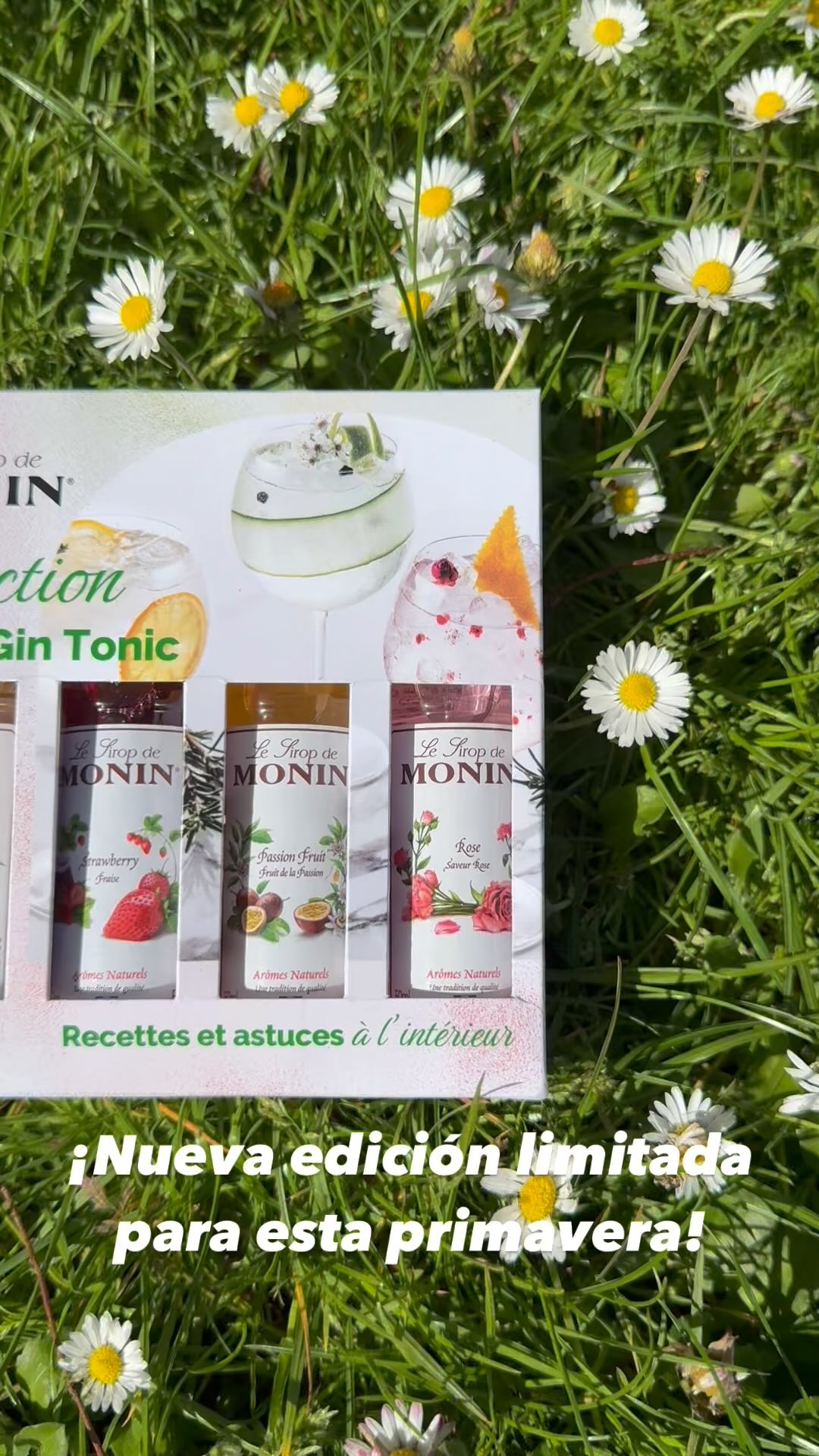 Monin edición limitada Hazlo parte de tu mesa de Pascua,
y sorprende a tus invitados con un detalle único, chic y lleno de encanto francés🌸💐🐰
#pascua #regalo #cajaderegalo #regalounico #productosoriginales #productosnuevos #productosfranceses #regalounico #epicerie #paris #madrid #regaloespecial #regalosadomicilio #monin #hechoenespaña @feliz_cajas_de_regalo