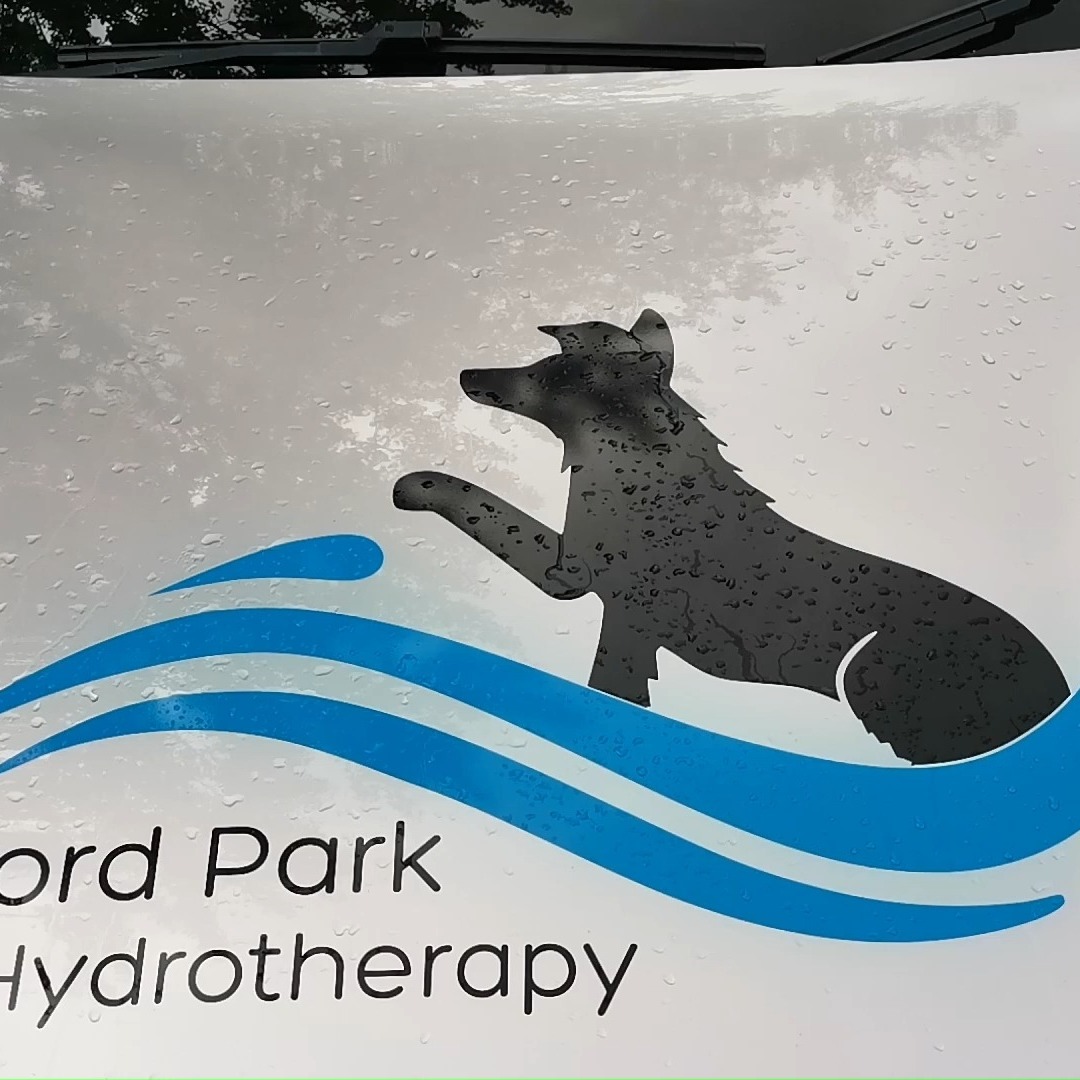 f you are looking for signage for your business we can do vans, trailers, trucks, and buses. Our units are big enough to accommodate your needs.
Drop our sales team a message to find out more if you are looking for custom vinyl prints installed on your vehicle.
A2Z Signage |141 Wilbraham Rd | Manchester M14 7DS| info@a2zsignage.co.uk | Tel: 07737360902 |
Contact our sales team and see what we can do for your vehicle and get booked in today!
📞 07737360902
🌐 www.a2zsignage.co.uk/
📧 info@a2zsignage.co.uk
#vinylwrapping #wrapped #vehiclegraphics#vehiclesignage#vehiclesignwriting #vehiclesignage