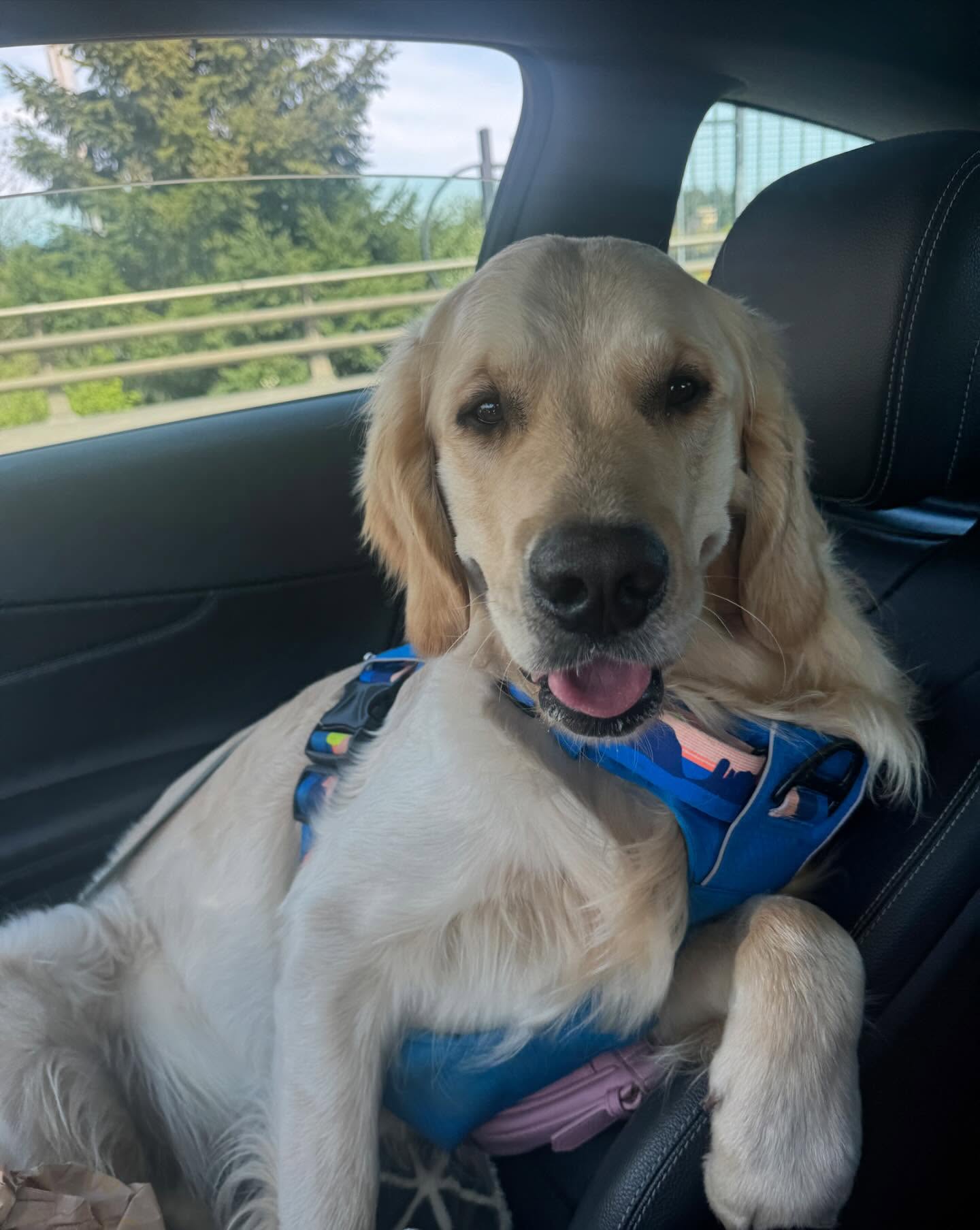 Always down for whatever! 💙💙