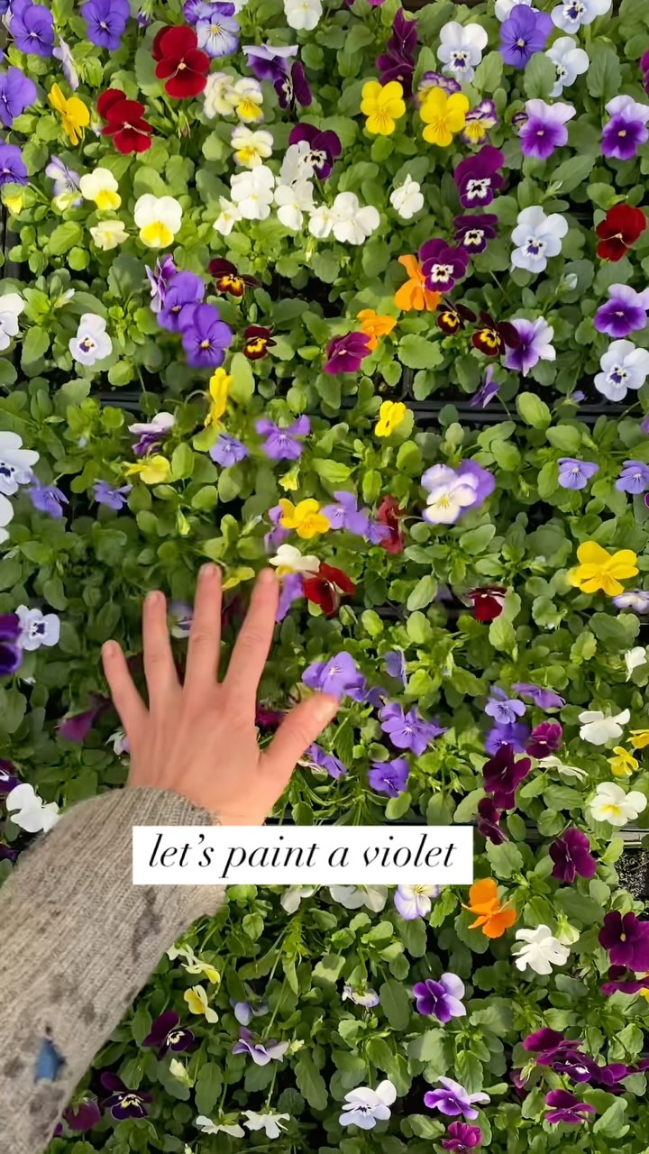 💐💐💐💐💐💐💐💐💐💐
I’ll be teaching a beginner watercolor class next Saturday afternoon, 4/19 at the @bloomingbungalowvt sweet new studio space!
We’ll talk basic techniques like color mixing, washes, layering, etc. and then spend time painting a botanical still life together.
✨✨sign up link is in my bio✨✨