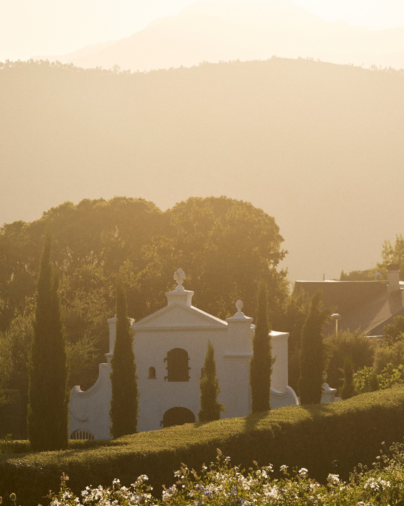 Beautiful hues over our garden, with our historic chicken coop in the background.
There’s something magical about the combination of nature and a touch of farm life.
Have a beautiful easter weekend.
.
.
.
#lacotte #lacottefarm
#franschhoek #franschhoeklife
#view #winelands #easter #weekend