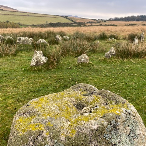 Common Misconceptions About Ear Wax Removal
Ear wax removal is a crucial aspect of maintaining good ear health, yet there are numerous misconceptions surrounding this topic. These misunderstandings can lead to improper care practices or unnecessary anxiety about ear wax buildup. In this post, we'll debunk some of the most common myths about ear wax removal and provide accurate information to help you make informed decisions about your ear care.
Myth 1:
Q-tips Are Safe and Effective for Ear Wax Removal:
One of the most prevalent myths is that using cotton swabs or Q-tips is a safe and effective way to remove ear wax. However, this couldn't be further from the truth. Q-tips can actually push ear wax deeper into the ear canal, leading to impaction or damage to the delicate structures of the ear. Instead, professional methods like microsuction offer a safer and more effective solution for removing ear wax without causing harm.
Myth 2:
Ear Candles Are a Natural and Effective Alternative:
Ear candling is often promoted as a natural and gentle method for removing ear wax. However, there is little scientific evidence to support its effectiveness, and it can pose serious risks such as burns, punctured eardrums, or even candle wax residue left in the ear canal. It's essential to seek professional ear wax removal methods backed by evidence-based practices to ensure your safety and ear health.
More myths debunked in the next post...