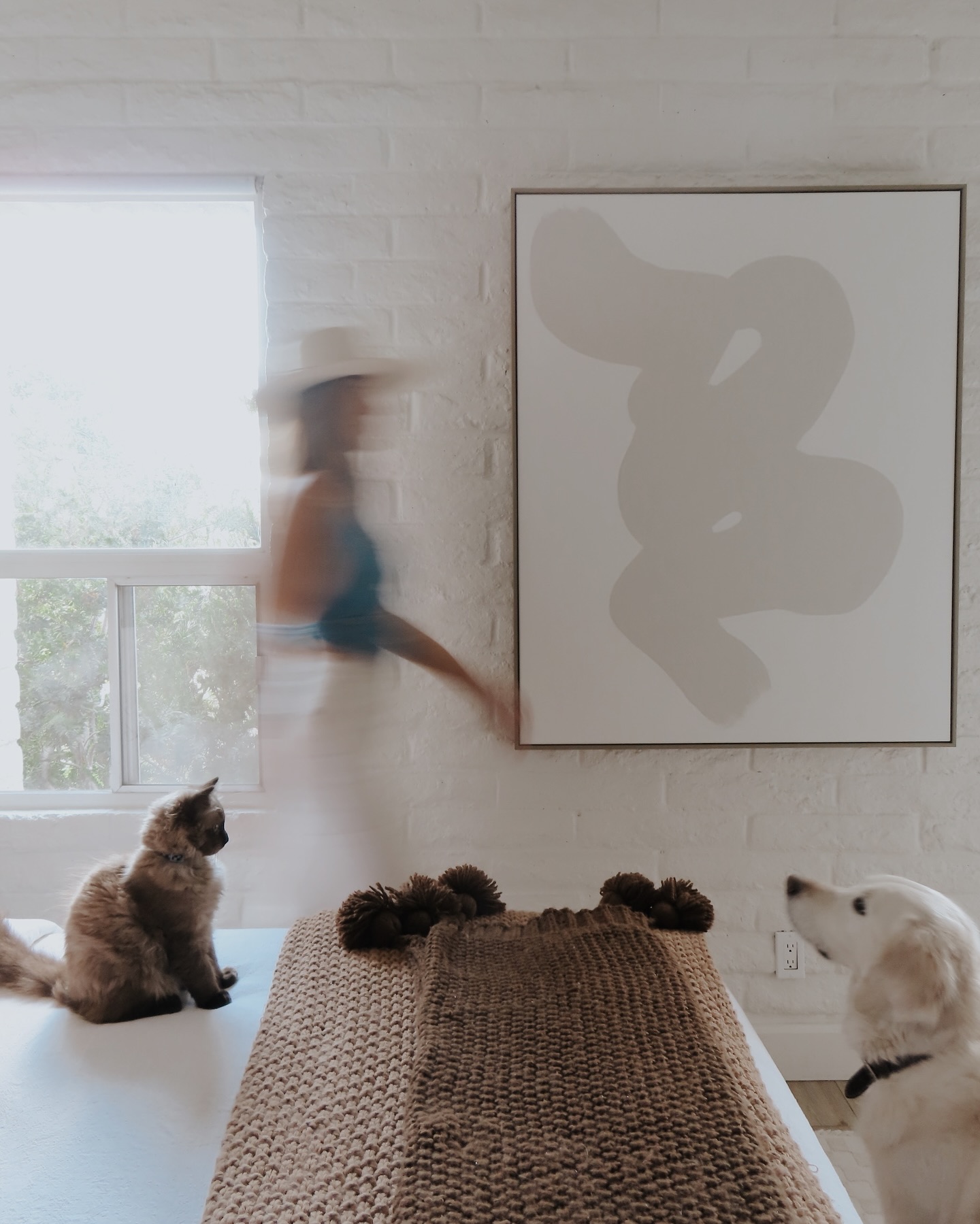 Trying to take photos of my house… but apparently I live with two very opinionated art directors.
#ScottsdaleInteriorDesigner #ArizonaHomes #PhoenixDesign#WarmMinimalism #CozyInteriors #HomeRefresh #InteriorStyling #DesignConsultation