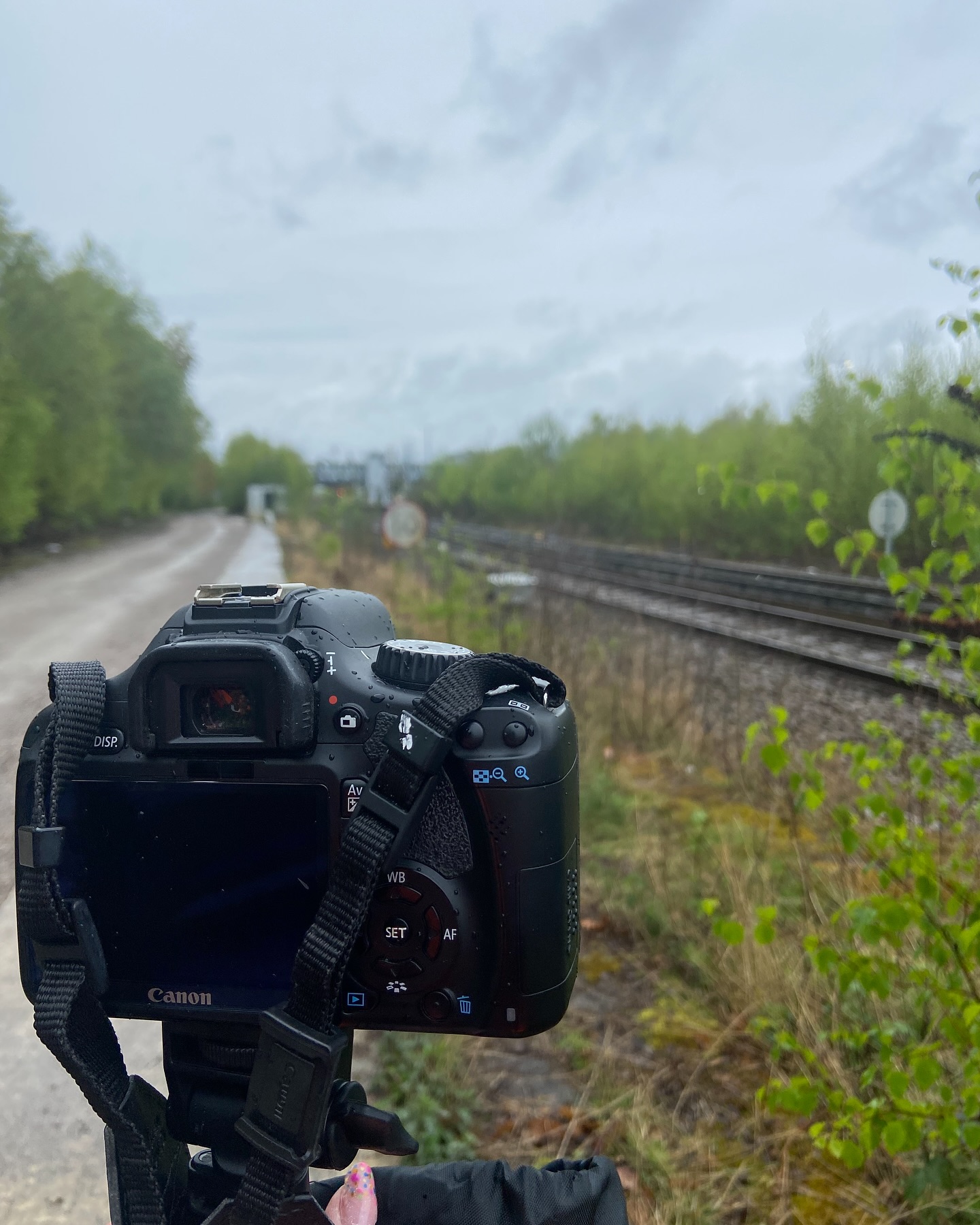 A little something different behind the lens yesterday…
Who knew trains could take centre stage on my camera roll? 🚄📸
Not many people know this, but I used to work in the rail industry, planning telecoms projects across my local patch. I loved the job—but horses were always calling louder🙈!
Swapping signals for saddles was the best move I ever made. Now, I get to blend creativity with my passion for all things equine (but it’s fun to dip back into my past now and then!)
#EquestrianBusiness #EquineMedia #HorseGirlLife #EquestrianMarketing #FreelanceLife #EquestrianContentCreator #HorseBusiness #SocialMediaForEquestrians #EquestrianBranding #FromRailsToReins #HorsesAndHustle