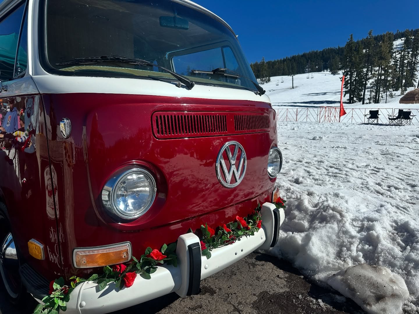 Ruby ❤️
.
.
.
.
.
#bendvwphotobus #rendezvan #rendezvan2025 #oregon #centraloregon #centraloregonlife #phish