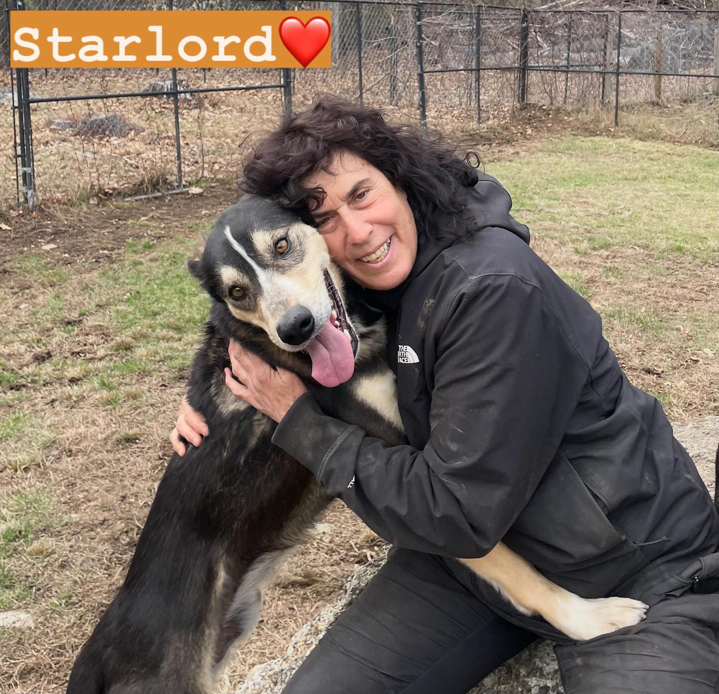 Alaskan Huskies big love❗️Come to Summer Sled Dog Camps🧡week long day camps, ages 8-15 @hilltownsleddogs #kidsndogs #kidscamps #huskylove #summercamp