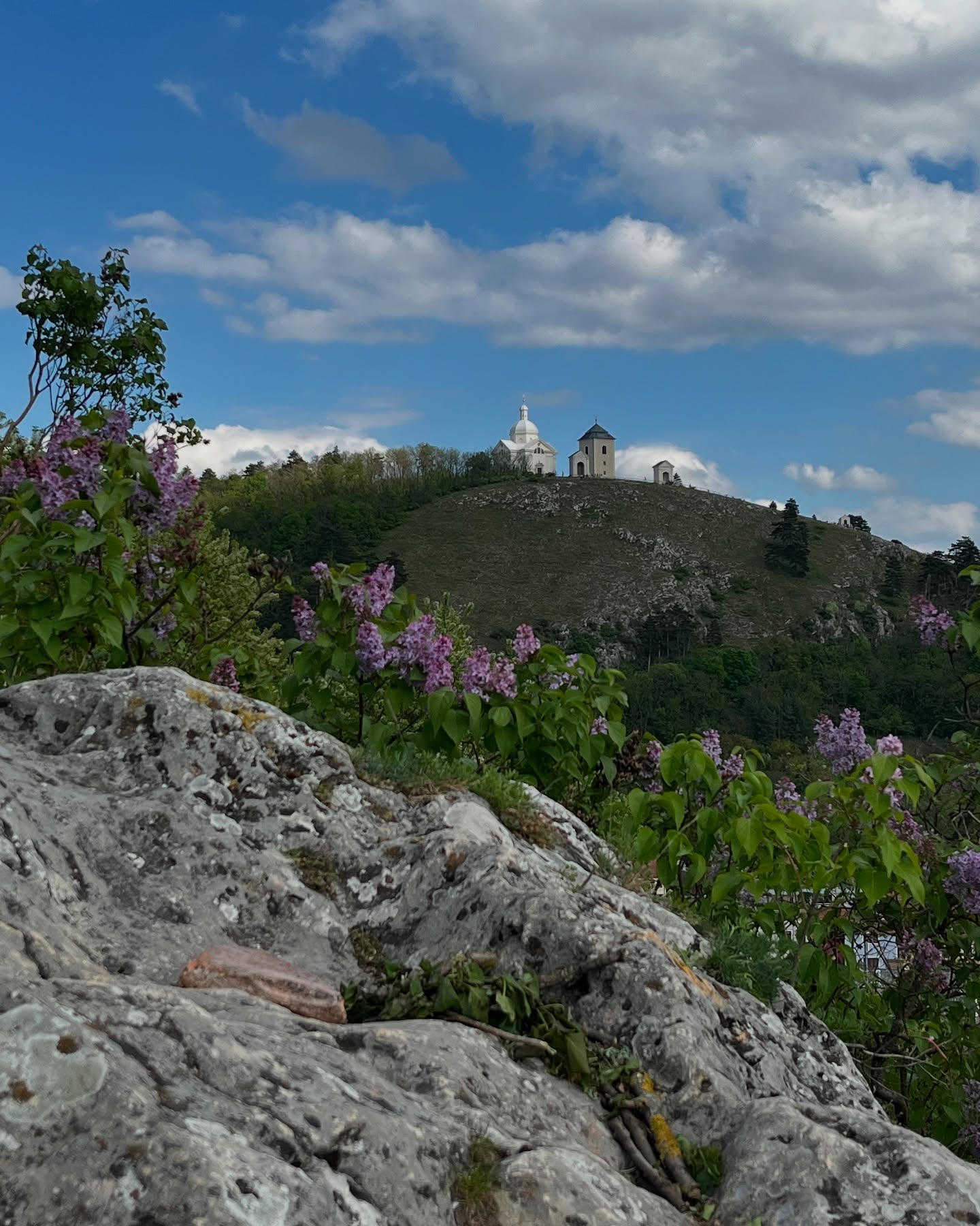 (c) Václav Kříž #sebastianus #svatykopecek #svatykopecekmikulov #sebastian #stsebastian #mikulov #nikolsburg #morava #jiznimorava #südmähren #mähren #southmoravia #moravia #spring #jaro #frühling @southmoravia @mestomikulov @farnostimikulovska