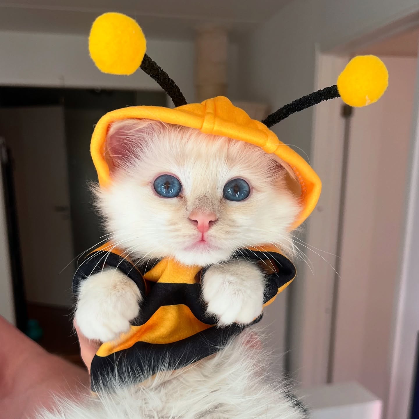 Happy Easter from our little 🐝