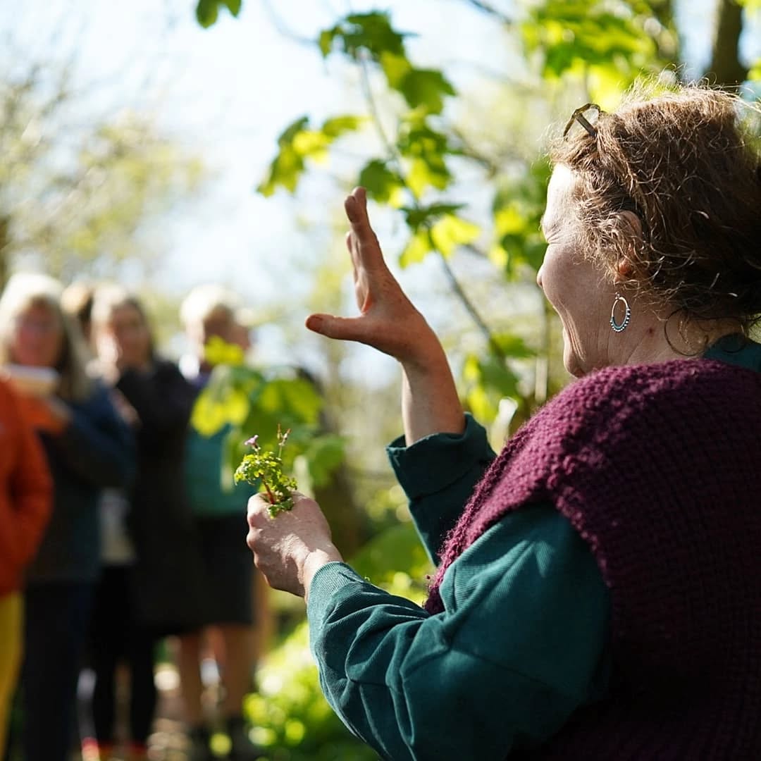 We shared a wonderful day with Katie yesterday who led us through a Spring workshop of medicine making and nature connection🌿
A wonderful opportunity and reminder to get to know the plants around us, to tap into their wisdom & honour our relationship with them. Whilst also aligning ourselves with the current spring energy and shifts, awakening to the rhythms of the seasons.
Such a wealth of knowledge, in theory and practice, from Katie ~ thank you for sharing your wisdom with us also !
The next herbal workshop will take place on Sunday the 29th of June ~ tickets available to purchase through our website, found on our bio🌻
...
Am ddiwrnod bendigedig gyda Katie ddoe a arweiniodd ni drwy gweithdy Gwanwyn o wneud meddyginiaethau a chysylltiadau gyda natur🌿
Cyfle gwych i ddod i adnabod y planhigion o'n cwmpas, i fanteisio ar eu doethineb ac anrhydeddu ein perthynas â nhw. Tra hefyd yn ein agosau i egni a newidiadau y gwanwyn, deffro i rythmau'r tymhorau.
Bydd y gweithdy pherlysiau nesaf yn cael ei gynnal ar ddydd Sul y 29ain o Fehefin ~ tocynnau ar gael i'w prynu trwy ein gwefan 🌻🌿🌼