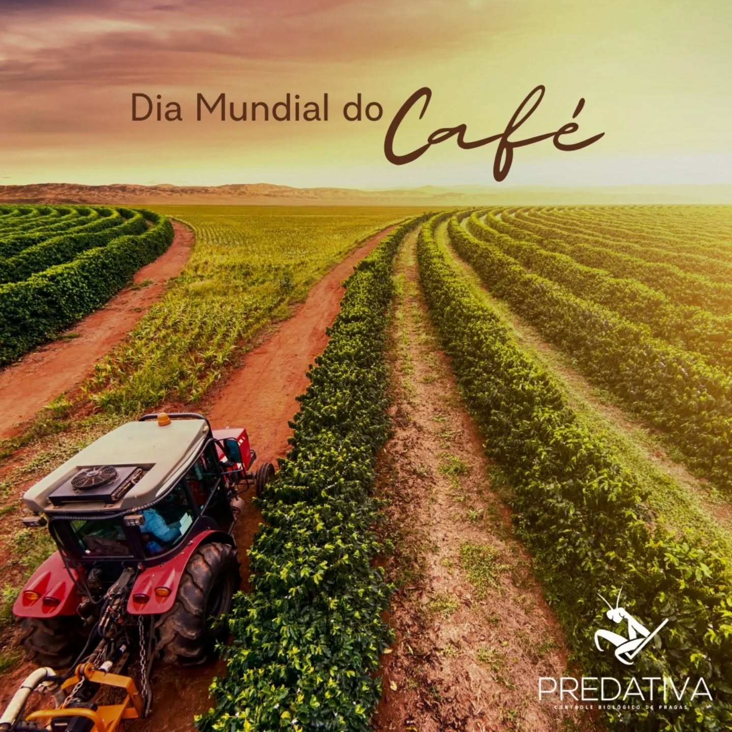 Quer saber mais sobre as biounidades on farm da #predativa? Entre em contato conosco pelo link da bio ou nas redes sociais.
#controlebiologico #pragasagricolas #cafe #diamundialdocafe