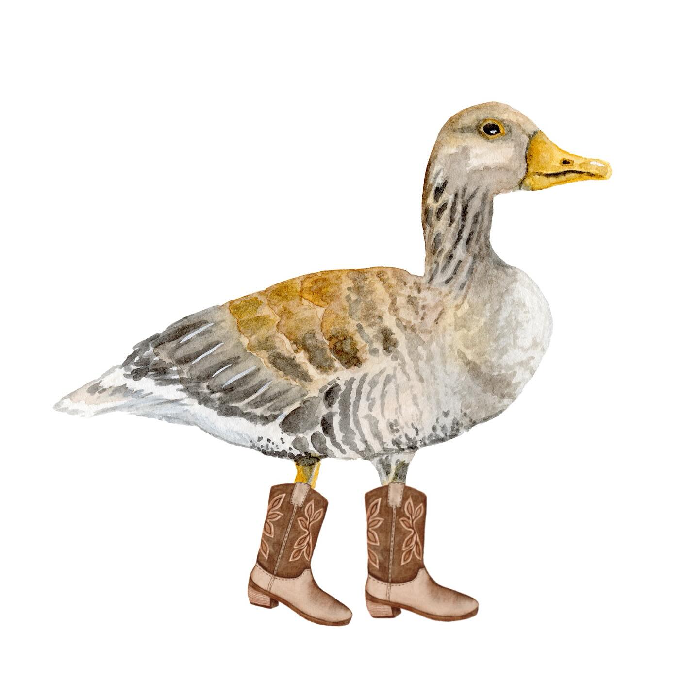 New Boot Goosin’ 🪿👢
#watercolor #goose #watercolorbird #newboots #boots #cowboyboots