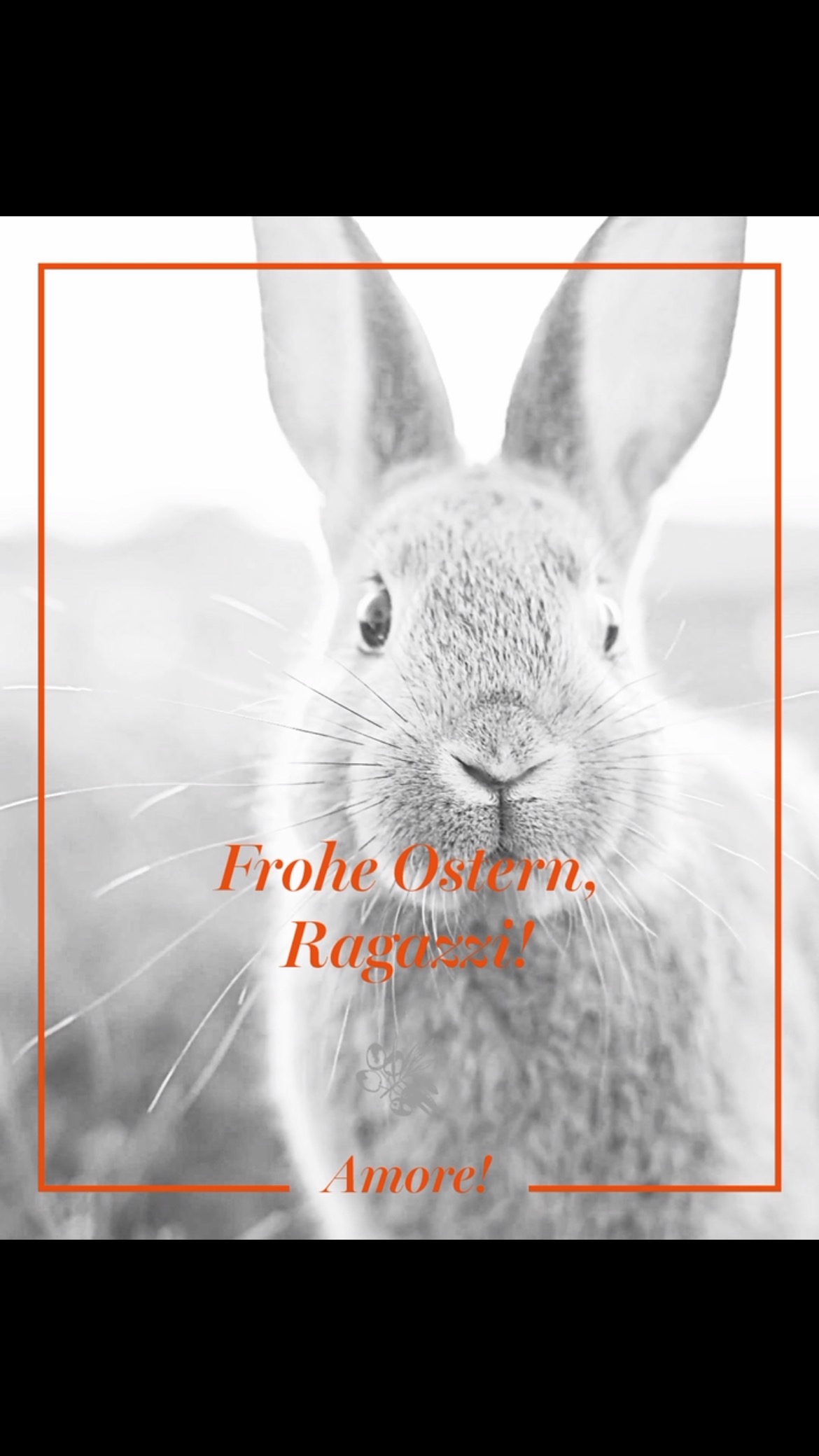 Frohe Ostern, Ragazzi!
Verbringt die Ostertage mit Euren Liebsten und lasst es Euch gut gehen! 🐣😊 Wir verbringen ein paar Tage mit der Familie in Italien, daher bleibt das ROSSETTI von Karfreitag bis einschließlich Ostermontag geschlossen.
Wir freuen uns, Euch ab Dienstag, 22. April, wieder zu begrüßen. 🤗
Genießt die Feiertage und habt eine schöne Zeit!
Amore
Alessio, Mattia & gesamte Team
#rossetti #cucinamediterranea #passau #trattoria #italienischgeniessen #salute #wein #weinempfehlung #flaschenweine #mediterran #foodlover #fisch #steak #vegetarischgenießen #vegan #passauliebe #mittagsangebot #mittagspausegeniessen #mediterran #passauliebe #inmoodforfood