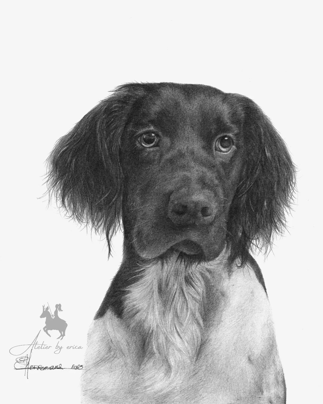 Wat een puppy-eyes 🥰
Grafietportret A3
'Bolt-2025' - privé collectie
#atelierbyerica #dogportrait #graphitedrawing #grafietportret #pencildrawing