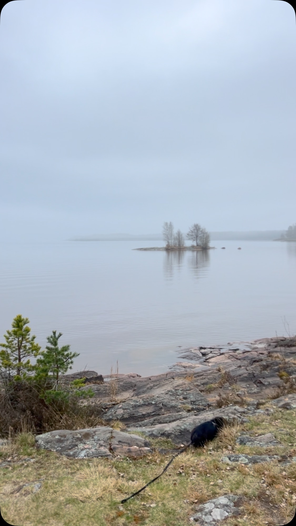 Vill du kunna slappna av och njuta av annat? Vi tar hand om uthyrning av din bostad.
VĂ€lkommen att skicka ett DM om du vill veta mer om hur vi jobbar.
@passionforhomesgroup
#rental #liveinsweden #liveinstockholm #passionforhomes #uthyrning #boistockholm #rentinstockholm