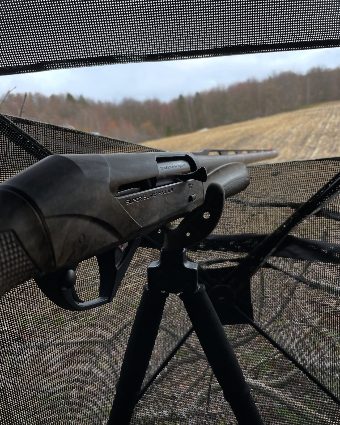 The Blind You Need!!!
Panoramic View!!!