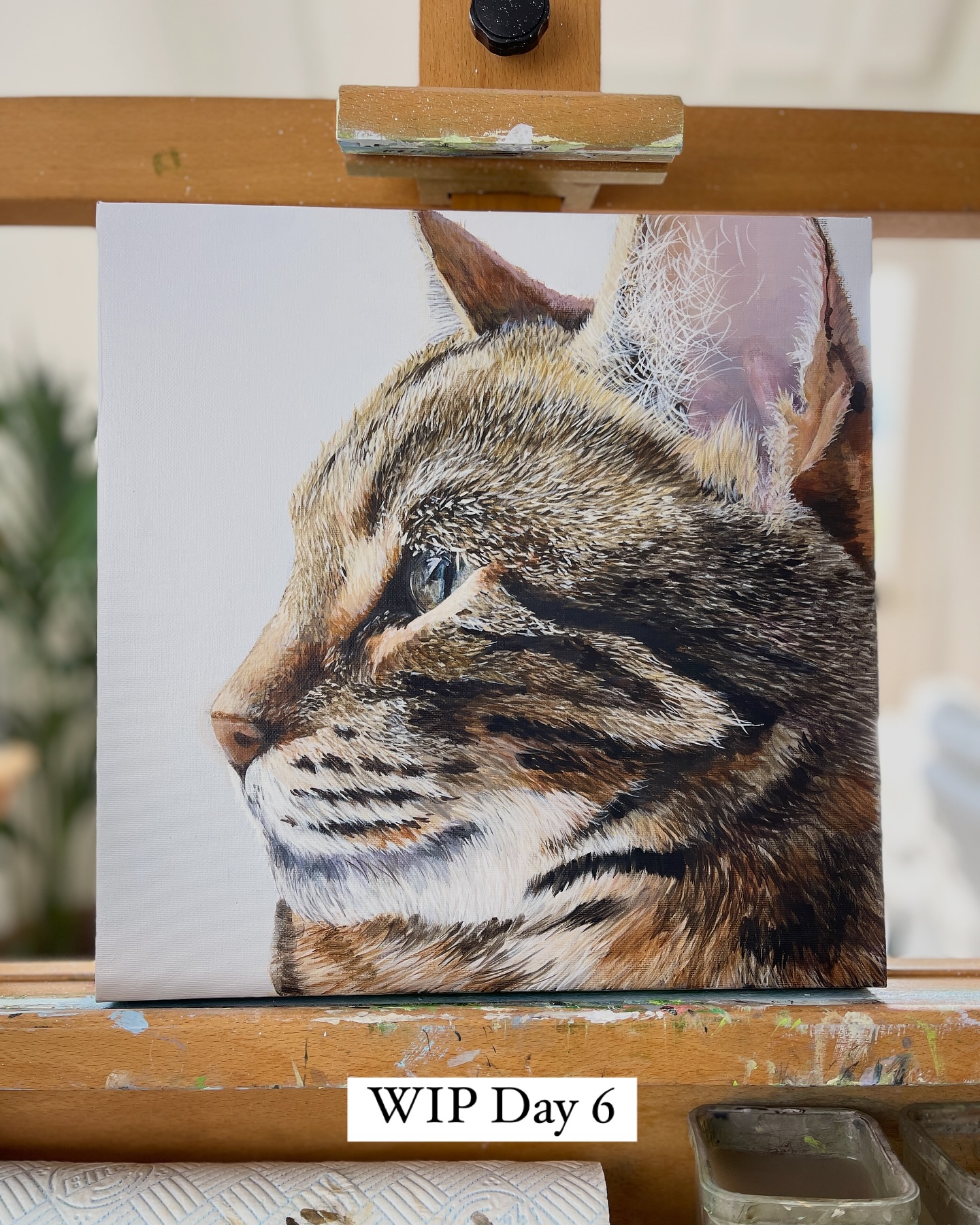 Today, I honestly thought I would have finished this painting. Instead I’m a few more layers in, have managed to create more depth but feel far from finished. 🤷🙄