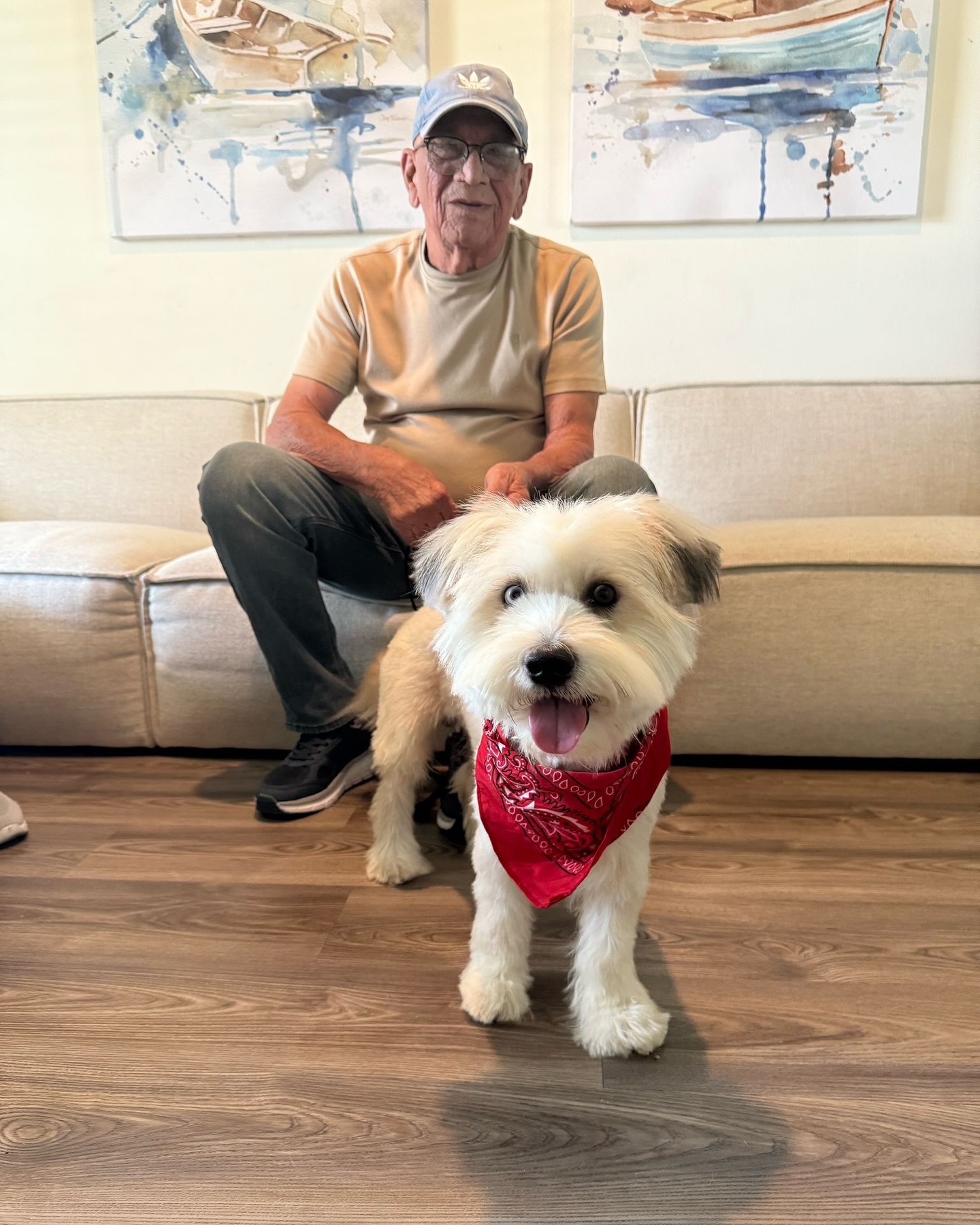 Cuando vienes a hacerte un grooming y sales feliz ✂️🐶✨ Gracias por pasar por acá y darles el cariño que tu mascota merece 😘
ㅤ
#cachorrosrd #grooming #florida #fl #centralflorida #petshop #pets #mascotas #orlando #davenport #hainescity #kissimmee #disney #familia #latinos