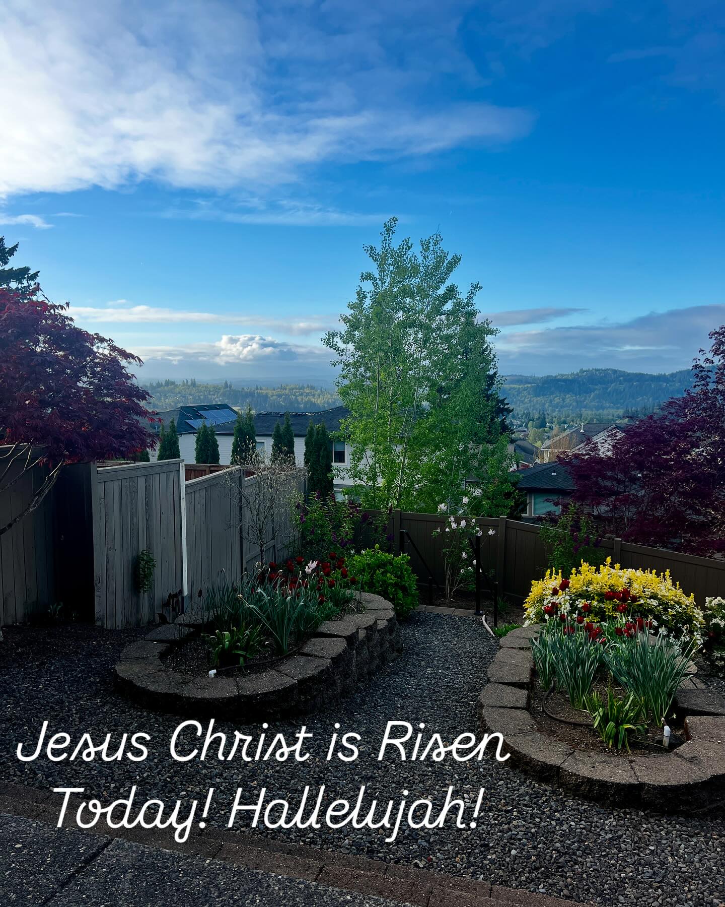 What a day to celebrate!!