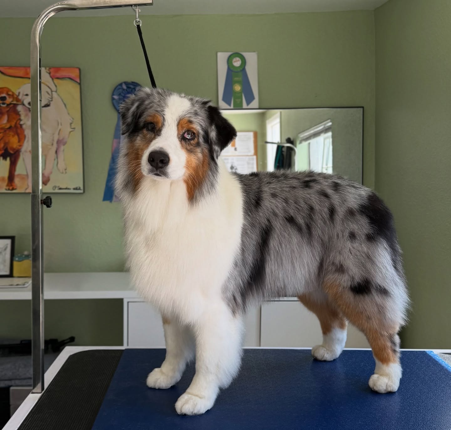 Check out our new blog! MaloryGrooms.com