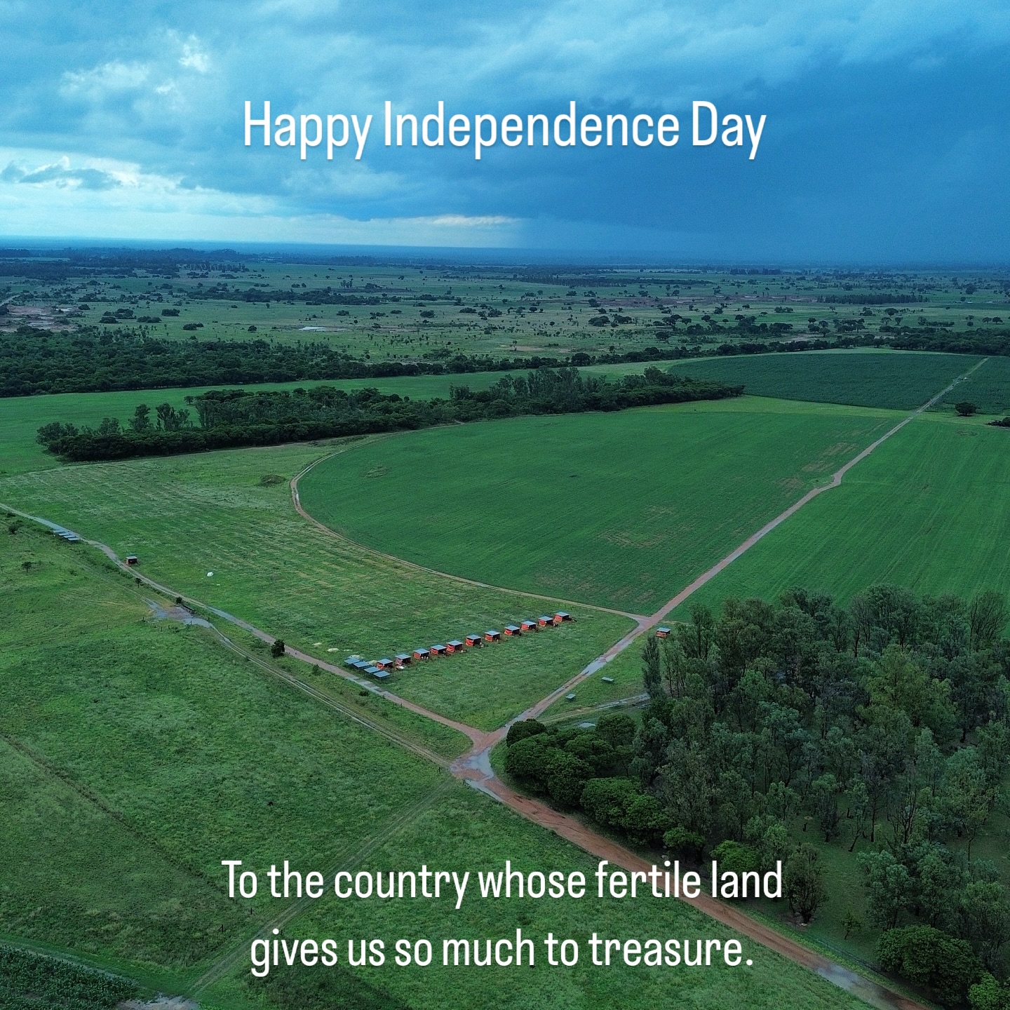 We are so grateful every day to be a part of Zimbabwe and helping Zimbabwean agriculture to thrive.
Happy Independence, Zimbabwe 🇿🇼
#zimbabwe #thisiszimbabwe #wearelivestock
