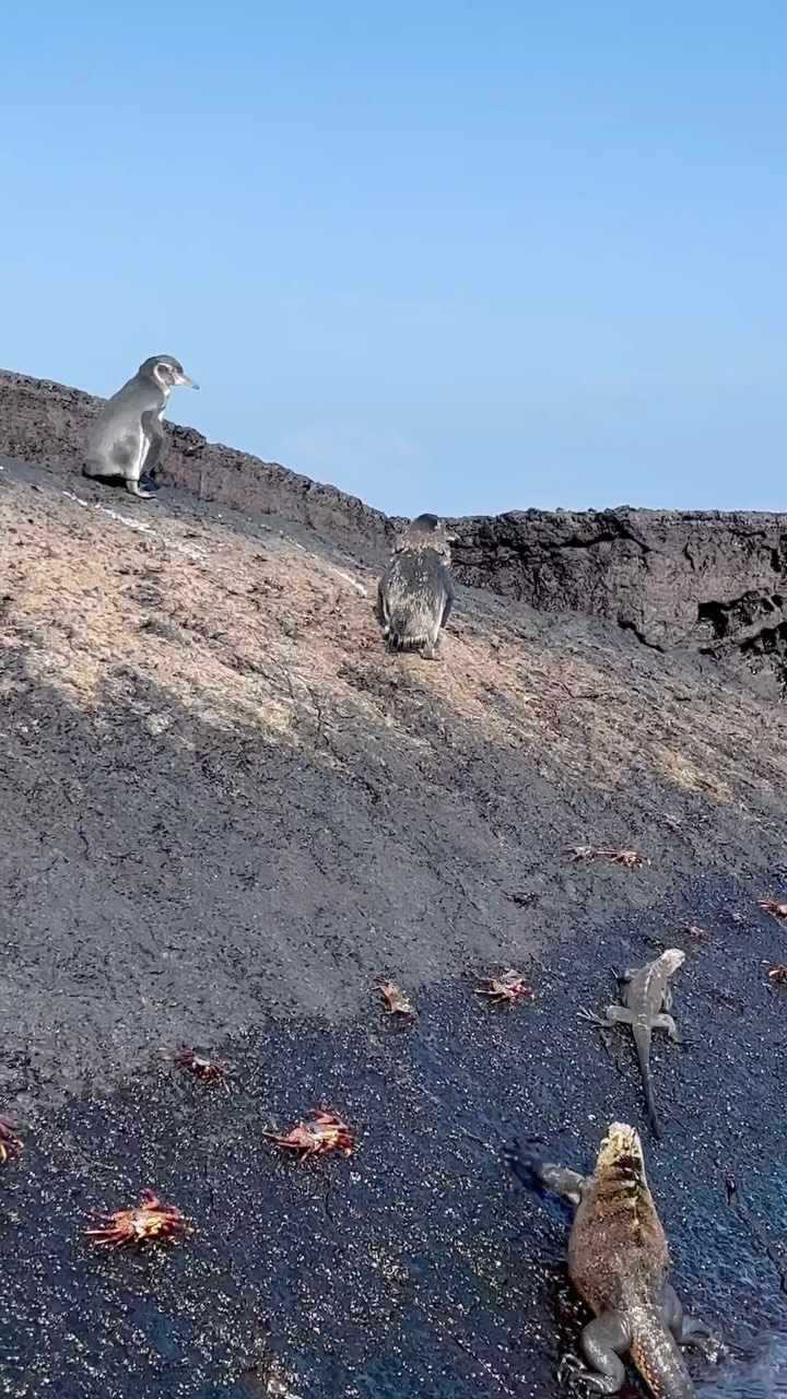 Happy Earth Day!🌎
Here’s a reel with some of the breathtaking places l’ve been lucky enough to visit. Every destination reminds me how much we owe to our planet.
#earthday2025 #wander #worldtraveler #myrooftopstories