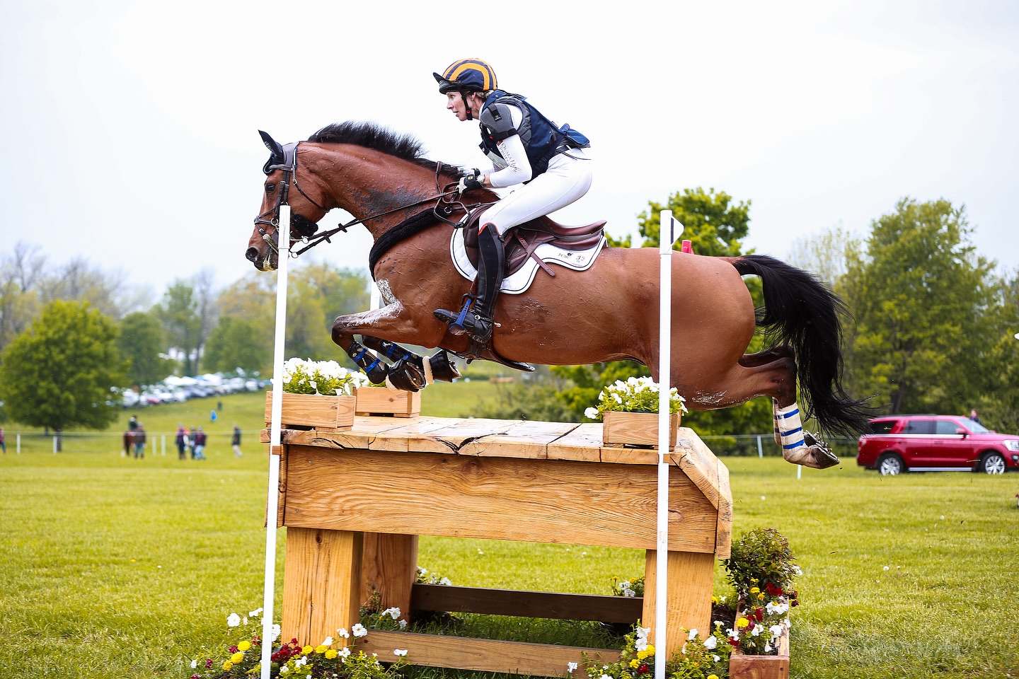 If you know me, you know that Liz has always been one of my favorite eventers to watch and photograph. She has represented the United States in various championships.
This past August, she had a serious fall at the USEA American Eventing Championships. Despite this setback, Liz has shown incredible resilience and determination. She’s been focused on her recovery and is looking forward to getting back to competing. Her strength and dedication to the sport inspire so many, including me. I hope to photograph her in the sandbox once again in the future. Sending her all the love as she recovers! ❤️ #weloveyouliz