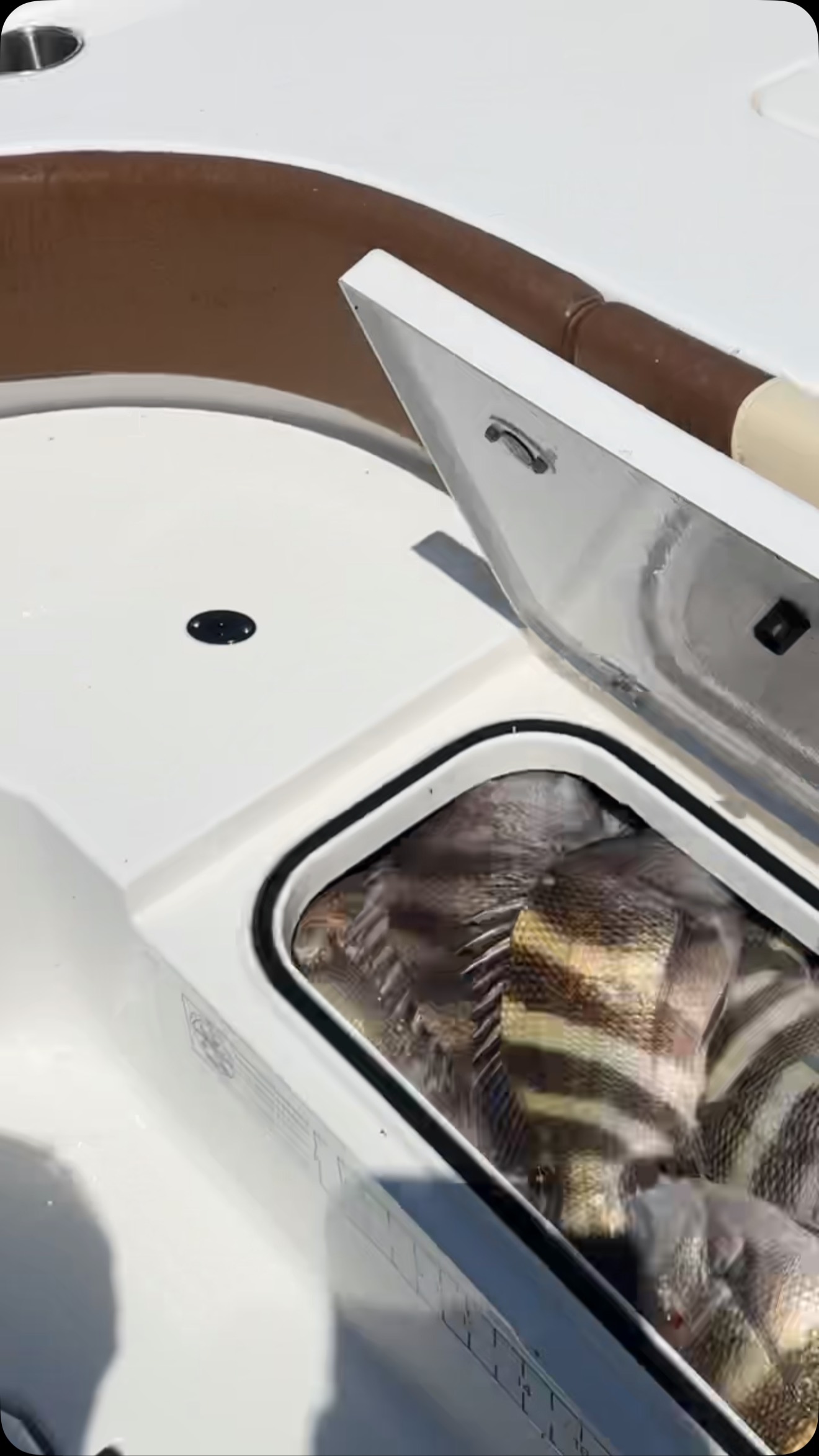 Great day on the water with @isthat_jockcenac @lloydlandry4 and Sack started off with trout and topped the box with some heads!