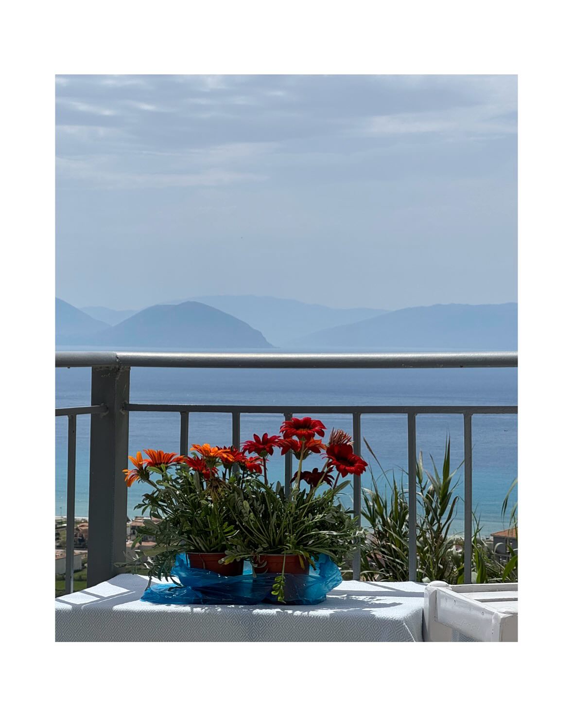 Just a flavour ❤️