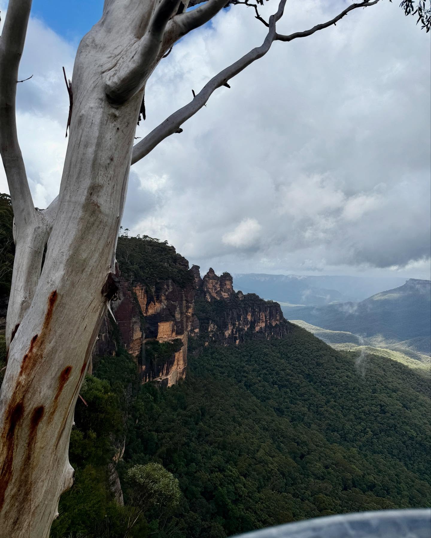 A fun escape to the Blue Mountains 🏔️
I leave Swami’s Yoga Retreat to fly to Bali in one day! I’ve loved the people and environment here and will miss it dearly. That said, I do feel ready and excited for my next adventure 😃