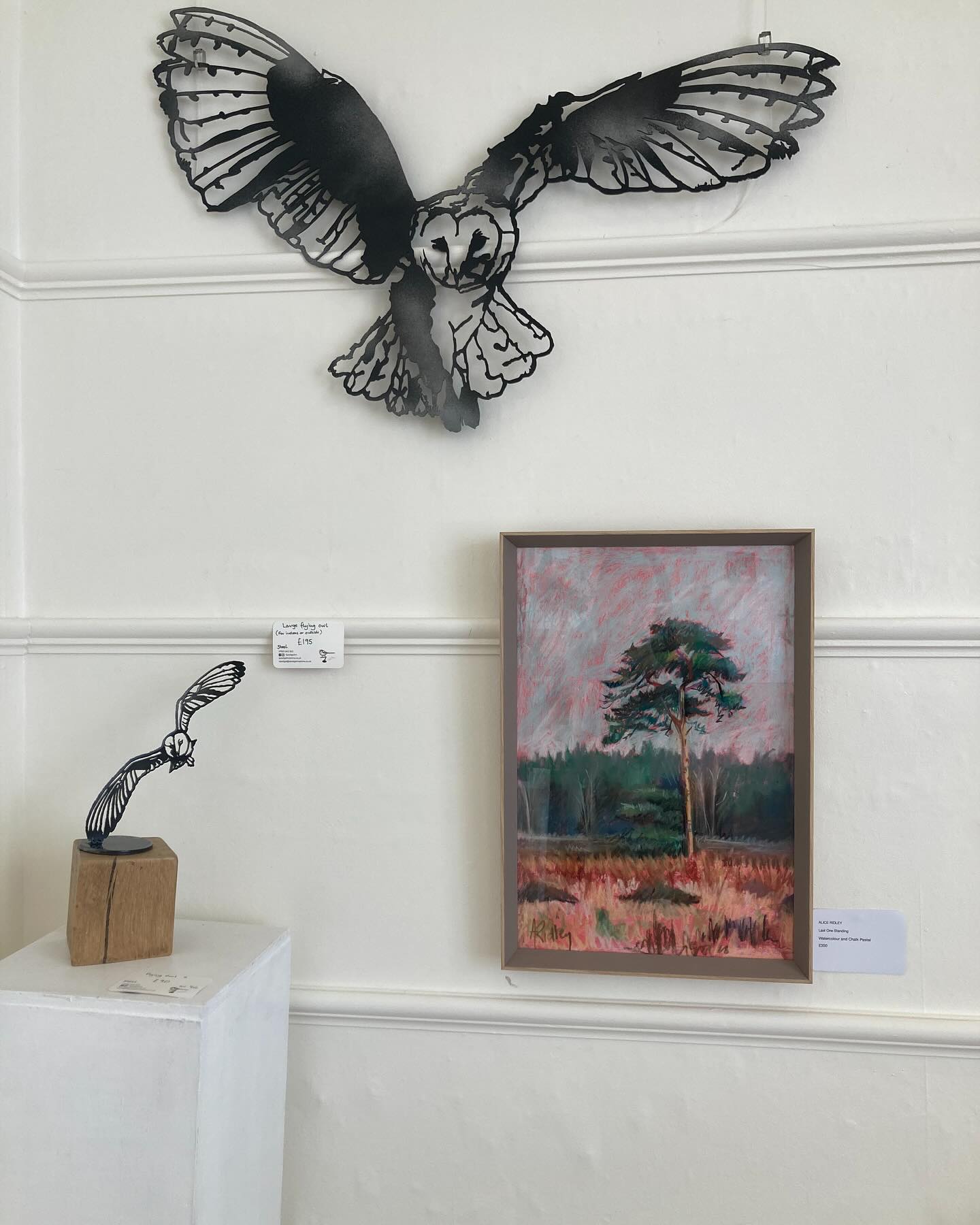 Hello, we are back at @artspace_woodbridge until Wednesday. Come and say hello we would love to see you!
#exhibition #woodbridge #artspacewoodbridge #suffolkartist #suffolkart #oilpaintings #birds #stilllife #suffolklandscapes #interiors #artforsale #gallery #sellingart #suffolk