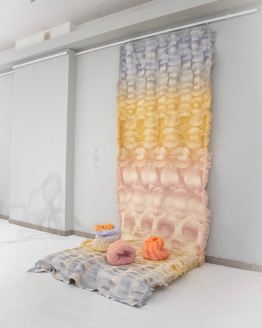 ✨ A look back at my textile exhibition from 2022 to 2025
Grateful for everyone who came, connected, and to all who made it happen. 💫
2022 / Young Textile Art Triennial
City Art Gallery, Łódź
Exhibited as the laureate of the main prize in the Textile Design category.
#weaving #textiles #textiledesign #ArtExhibition #ytat #youngtextilearttriennial