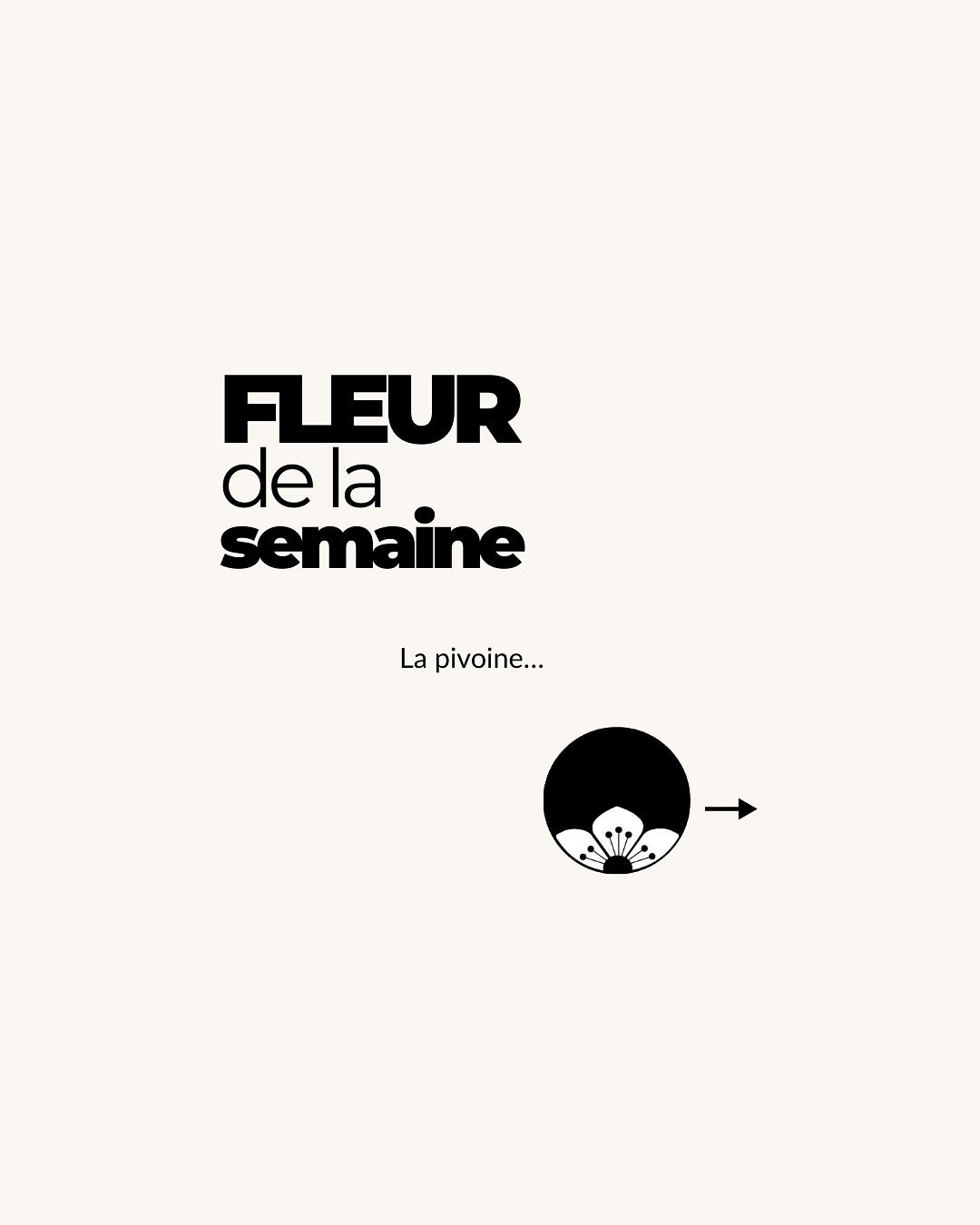 La pivoine, la messagère du coeur...
C’est une fleur qu’on attend avec impatience, car elle ne dure qu’un instant. Elle arrive avec le printemps, entre avril et juin, et transforme les bouquets en éclats de tendresse.
Quand je choisis une pivoine, je pense à ce qu’elle dit sans parler. Elle parle d’amour discret, de douceur, de gratitude. Elle invite à ralentir, à regarder la beauté dans ce qu’elle a de plus éphémère.
Chaque pivoine que je glisse dans une composition, je le fais avec l’intention de transmettre tout cela. Comme un secret délicatement confié à celui ou celle qui recevra le bouquet.
📸 @cocosconcept_
#maeko #narbonne #fleuriste #fleurdelasemaine #fleurdesaison #pivoine #bouquets #creation #conceptstore