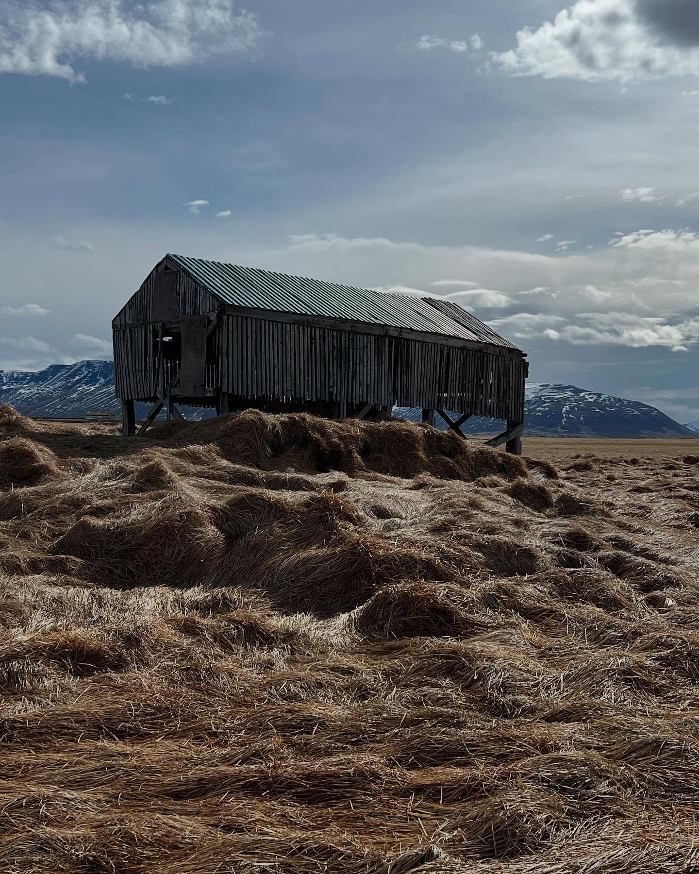 One of our main landmarks here at Baer is the old shark drying hut, still standing after one more winter. But maybe not so strong anymore. We can see how each winter leaves it a bit weaker and more worn. Thankfully it has been an attraction for many and captured on quite a few cameras. 😍