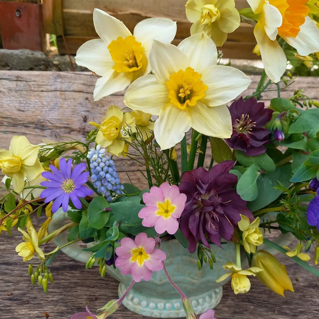 Happy Bank Holiday weekend 🌿 😎 Hot cross bun and cheese day for me with the outlaws
#springflowers
#spring
#floralarranging
#floralarrangements
#surreyweddingflorist
#surreyflorist
#carshalton
#carshaltonbeeches