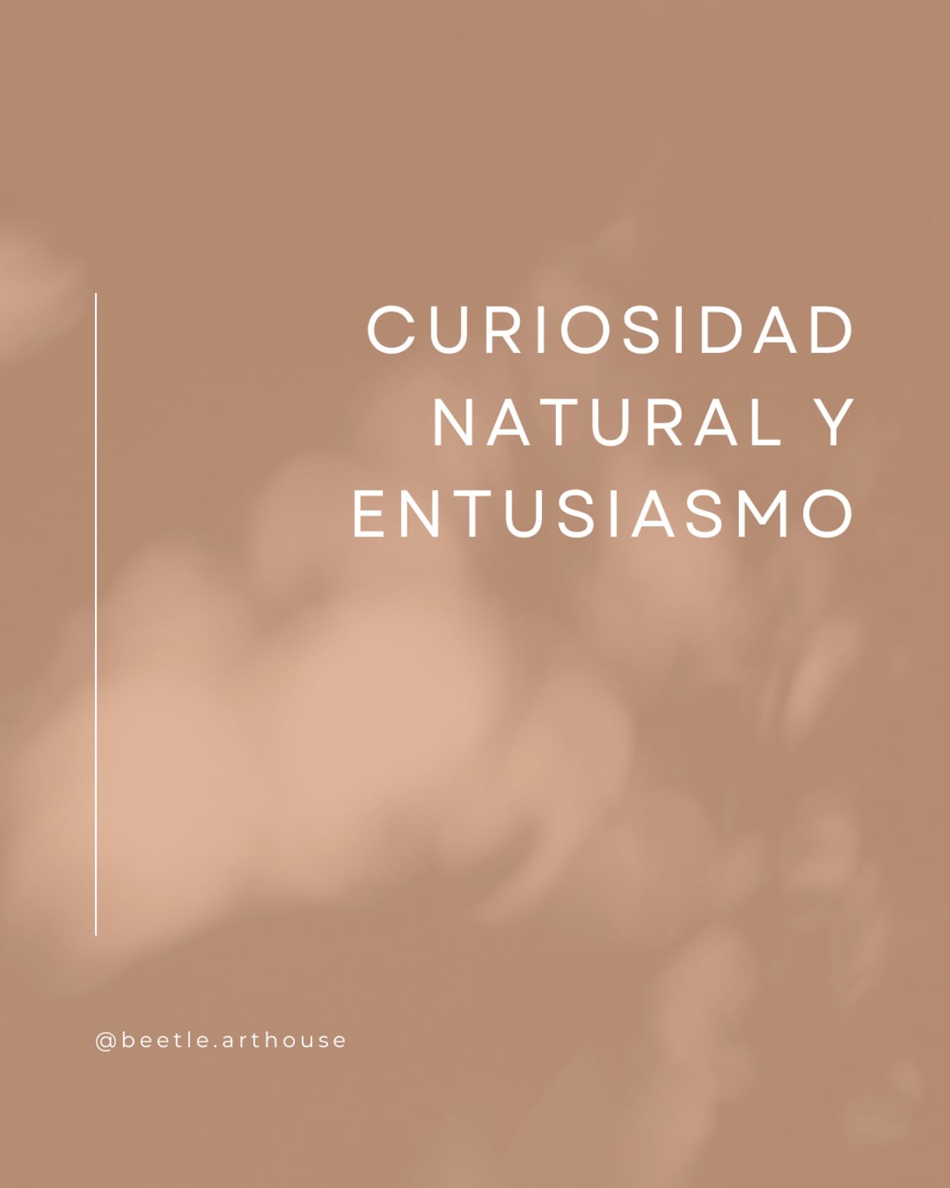 When curiosity meets imagination, something new reveals.
En Beetle te invitamos a experimentar desde el juego,
Despertando así el entusiasmo que genera descubrir tu talento.
#art #arte #artist #artwork #artisan #arteydecoracion #piezasunicas #handmade #artdecor #interiordesign #interiors #design #creatividadydiseño #creativity #create #mentecuriosa