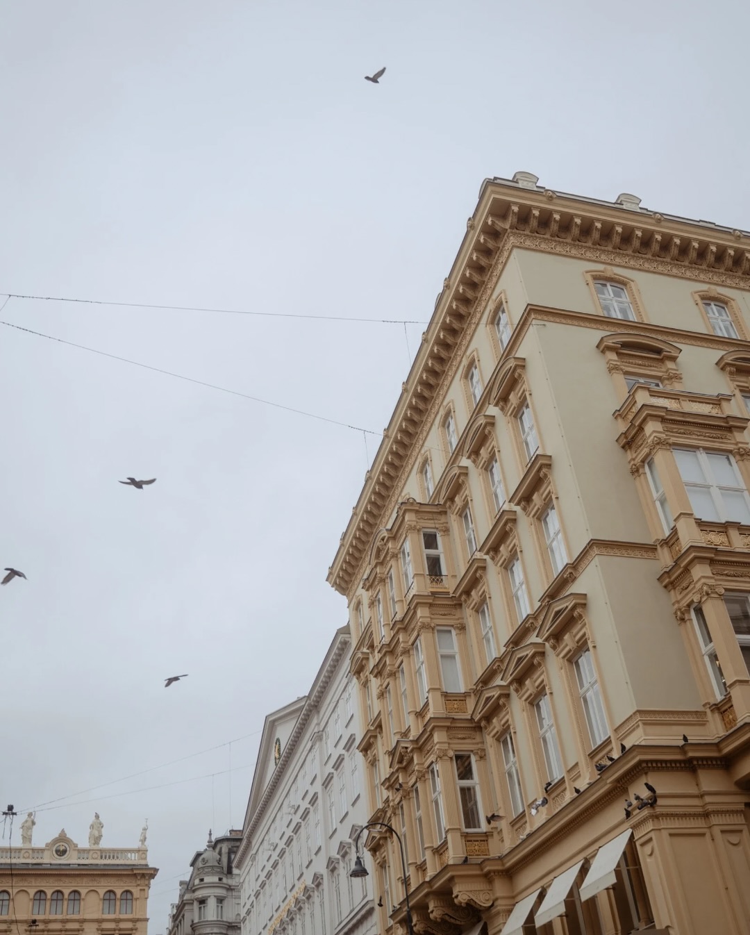 Before wedding season fills our hearts (and feed) again, here’s a little glimpse of Vienna - captured on digital, camcorder and 35mm 🩶🪩
#viennaaesthetic #35mm #camcorderweddingfilm #weddingphotography #weddingfilm